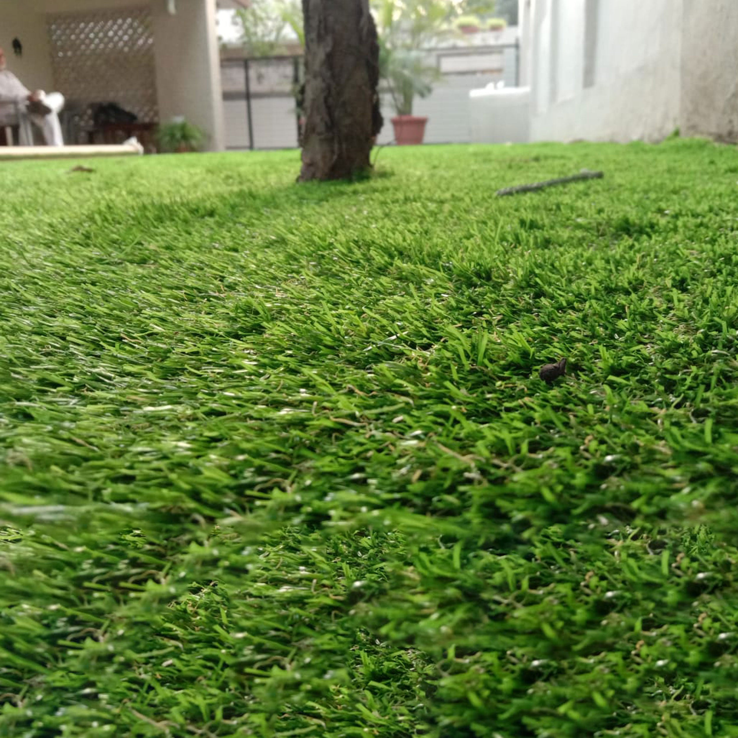 35mm Mint Artificial Grass 6.5 Feet Width PE & PU Material Grass For Indoor And Outdoor Use