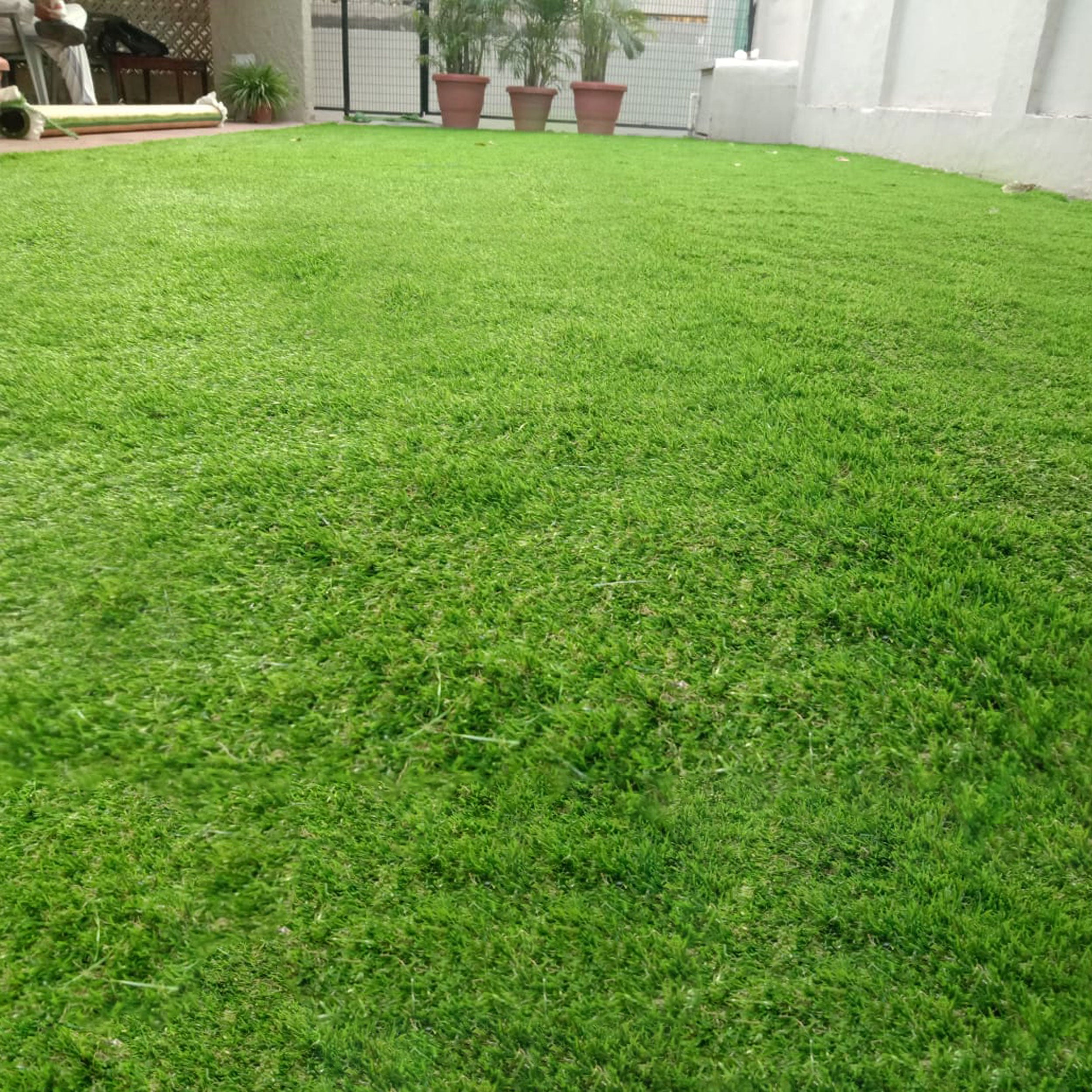 35mm Mint Artificial Grass 6.5 Feet Width PE & PU Material Grass For Indoor And Outdoor Use