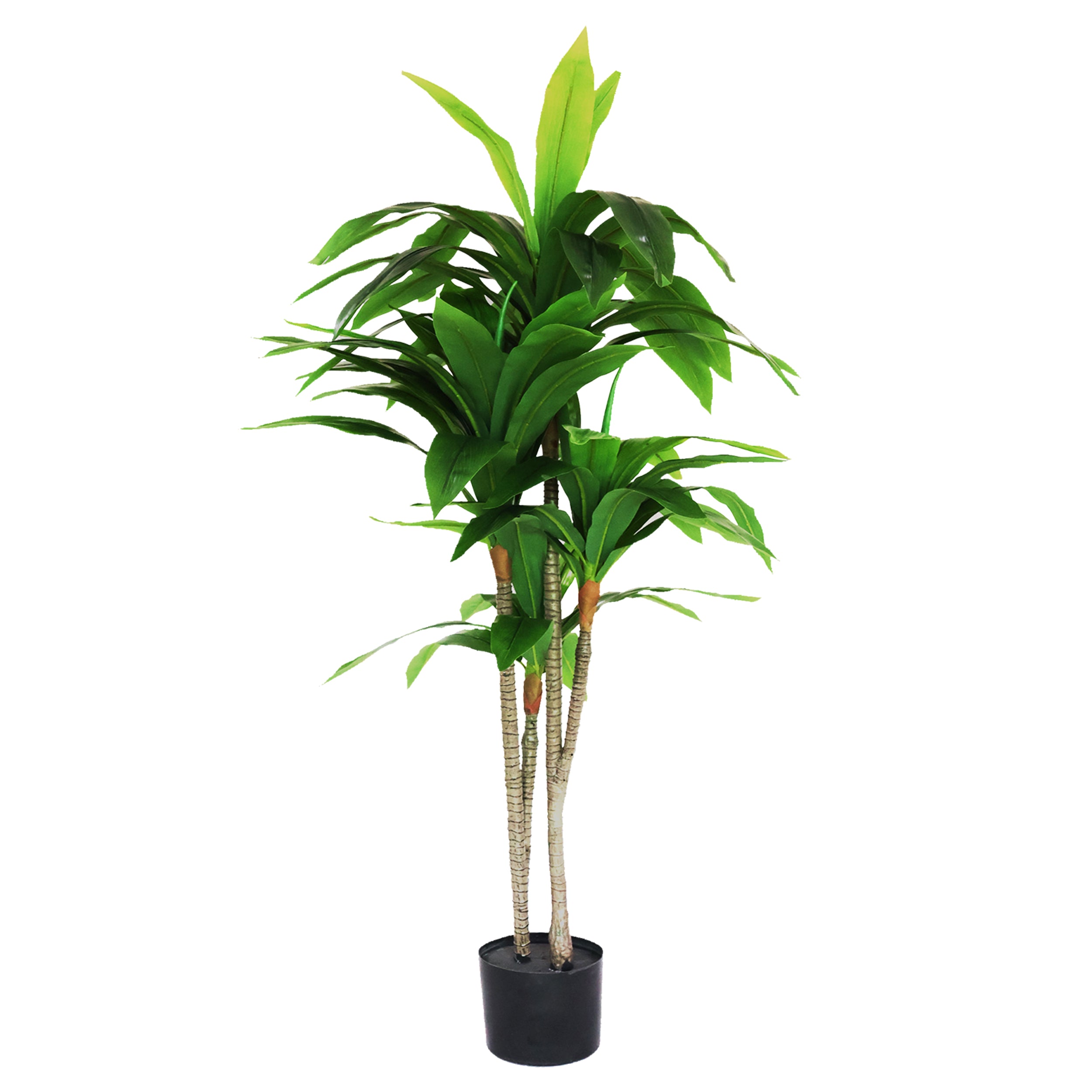 4 feet (120 cm) Decorative Artificial Dracaena Plants Pack Of 1