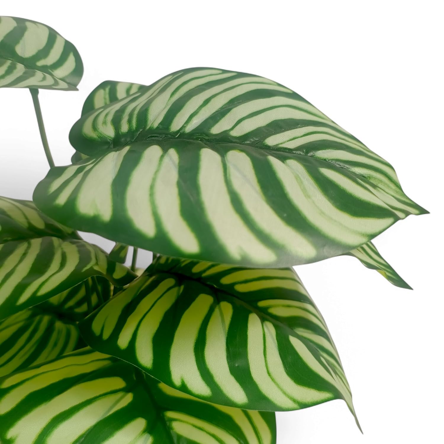 1.6 Feet (48 CM) Artificial Plant for Indoor and Outdoor, Home, Shop, Office, Restaurant Decoration Dark Green (Pack of 1)