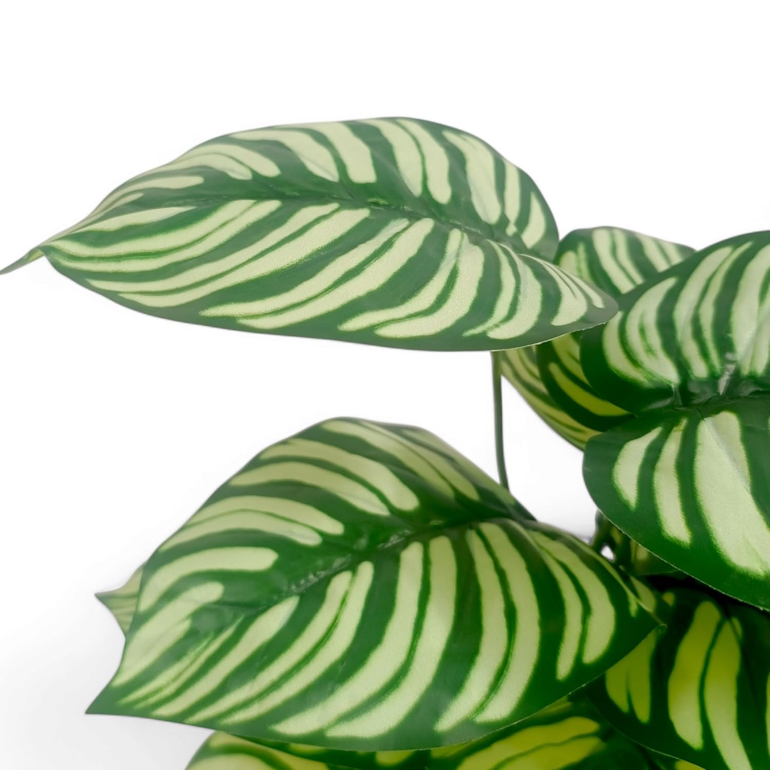 1.6 Feet (48 CM) Artificial Plant for Indoor and Outdoor, Home, Shop, Office, Restaurant Decoration Dark Green (Pack of 1)