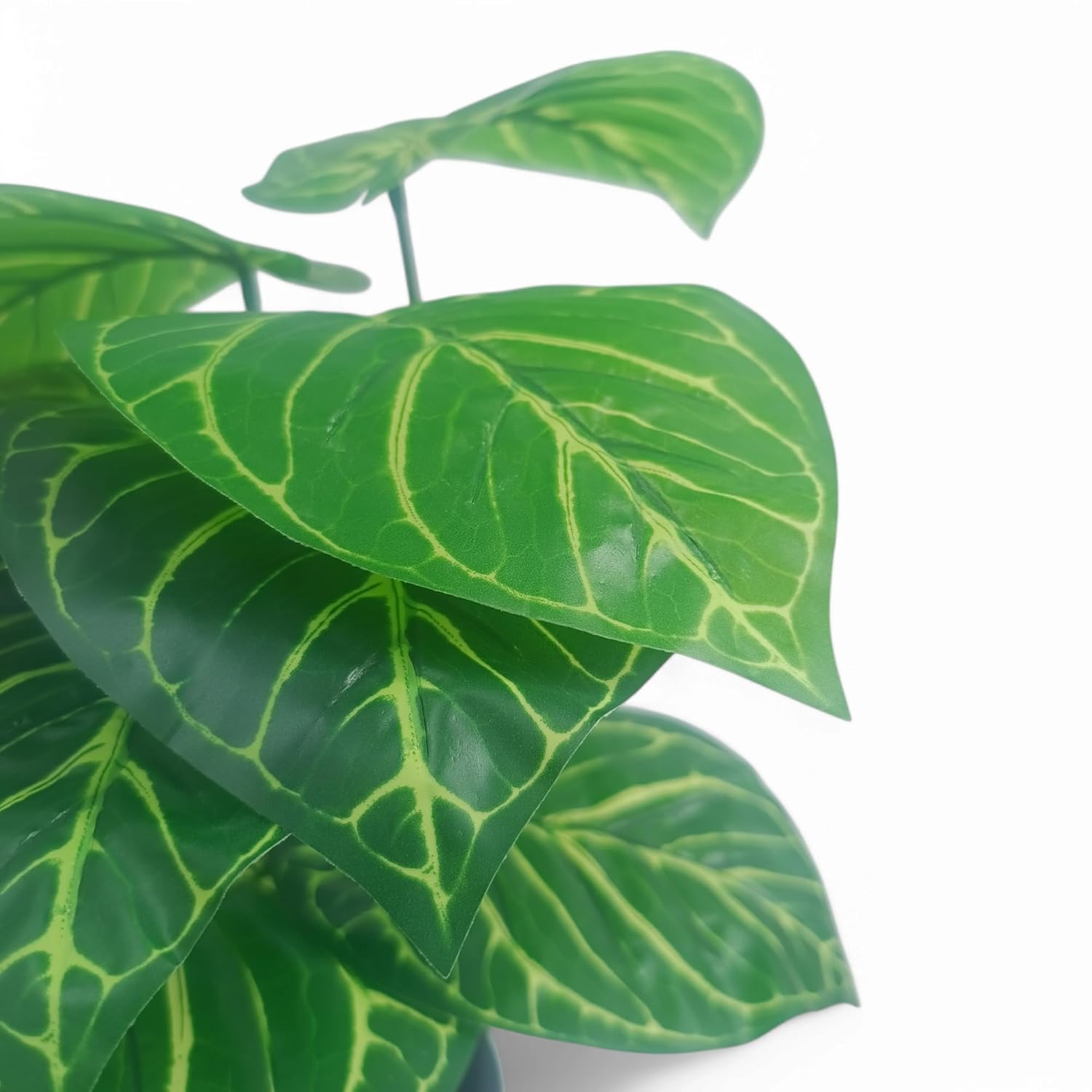 1.6 Feet (48 CM) Artificial Plant for Indoor and Outdoor, Home, Shop, Office, Restaurant Decoration Dark Green (Pack of 1)
