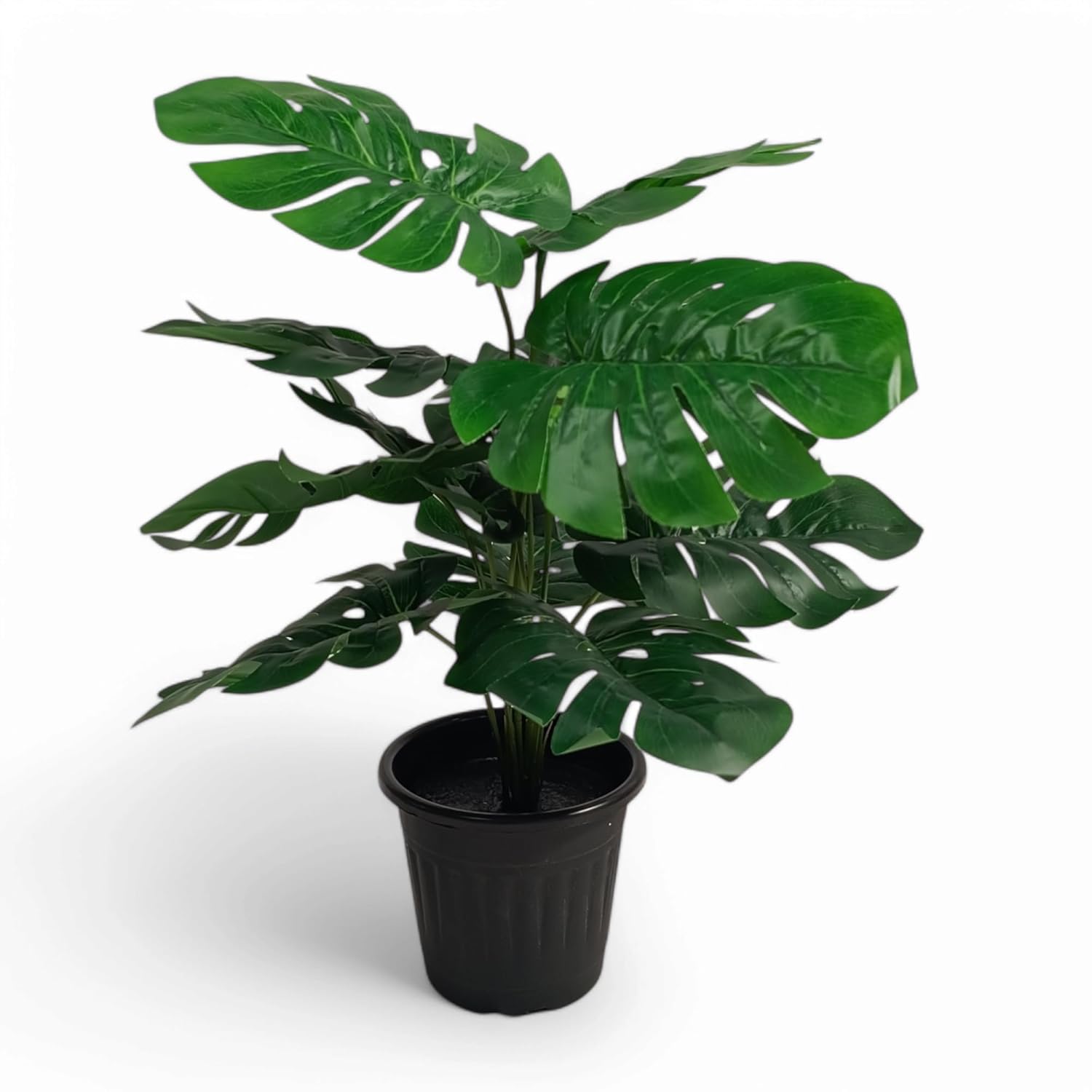 1.6 Feet (48 CM) Artificial Plant for Indoor and Outdoor, Home, Shop, Office, Restaurant Decoration Dark Green (Pack of 1)