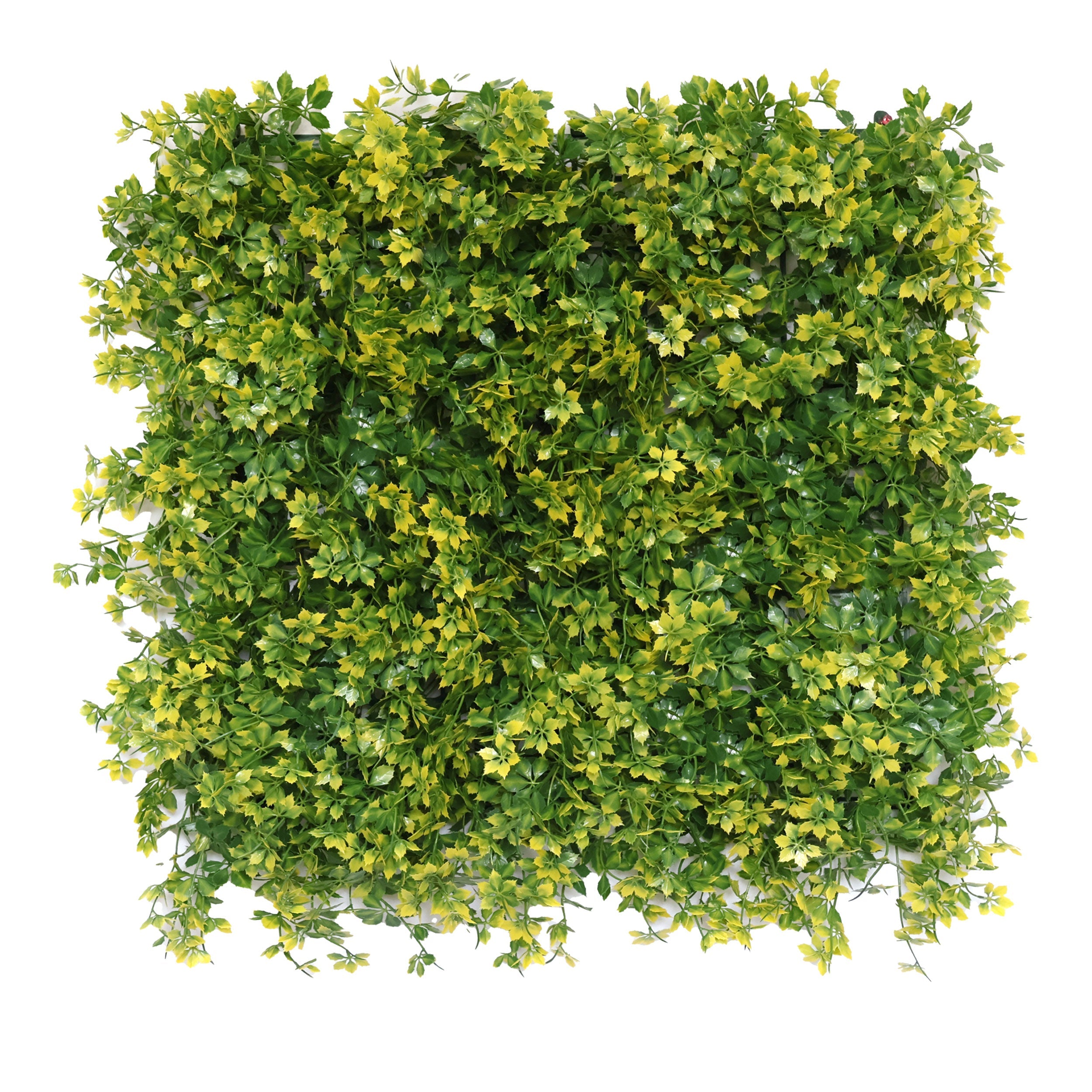 Artificial Vertical Garden Wall Panel 50X50 CM