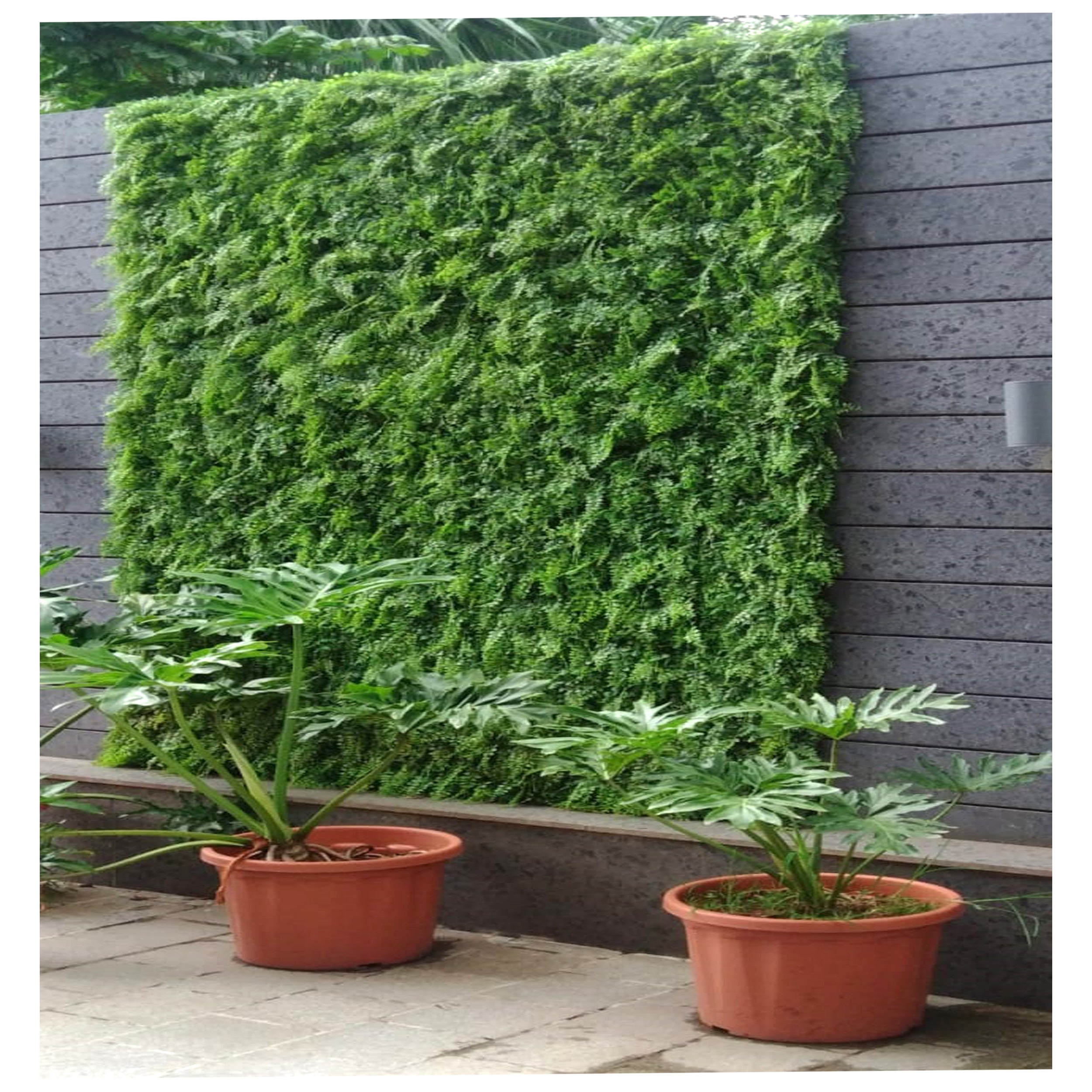 Artificial Vertical Garden Wall Panel 50X50 CM