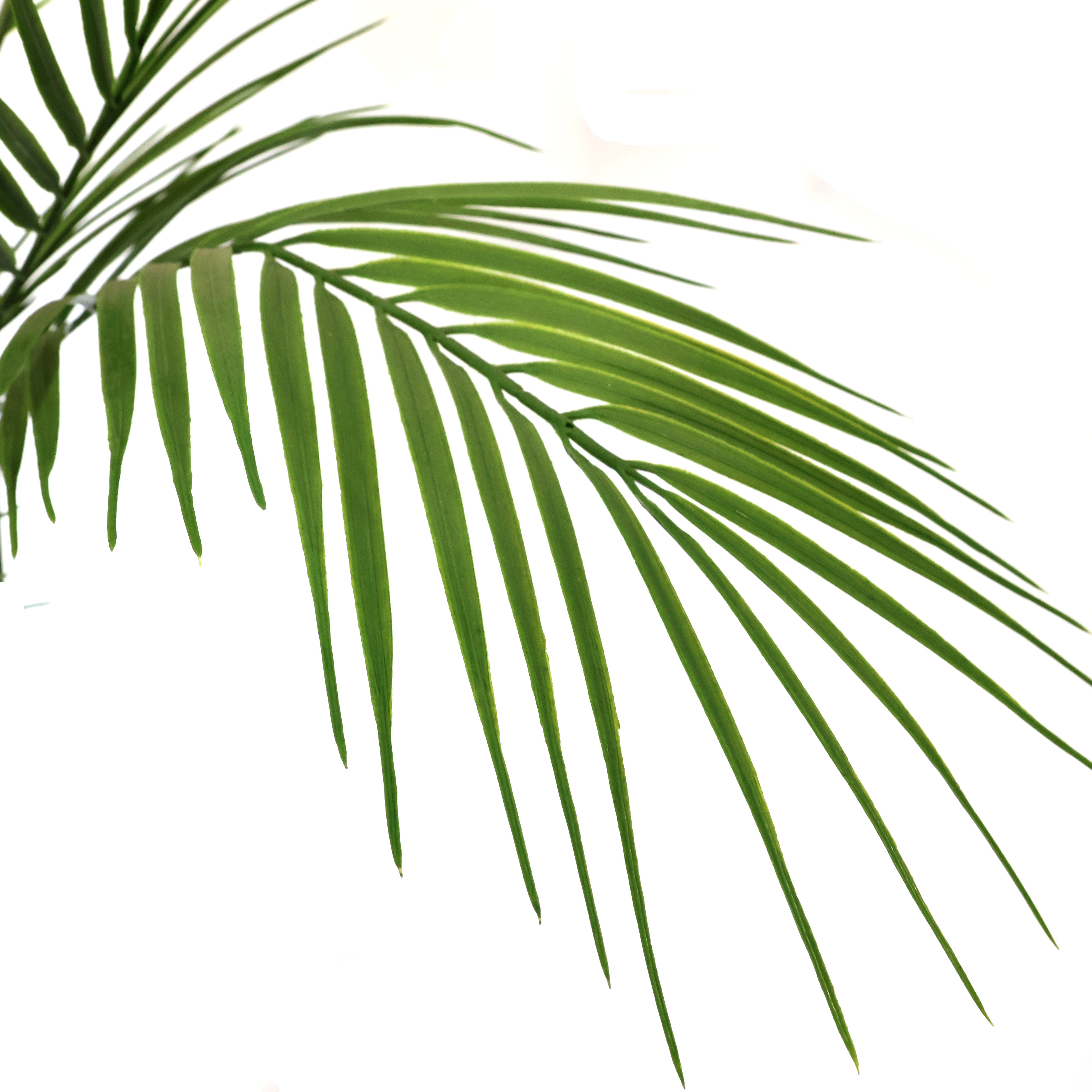 48" (121 cm) Height Artificial Palm Tree Pack Of 1