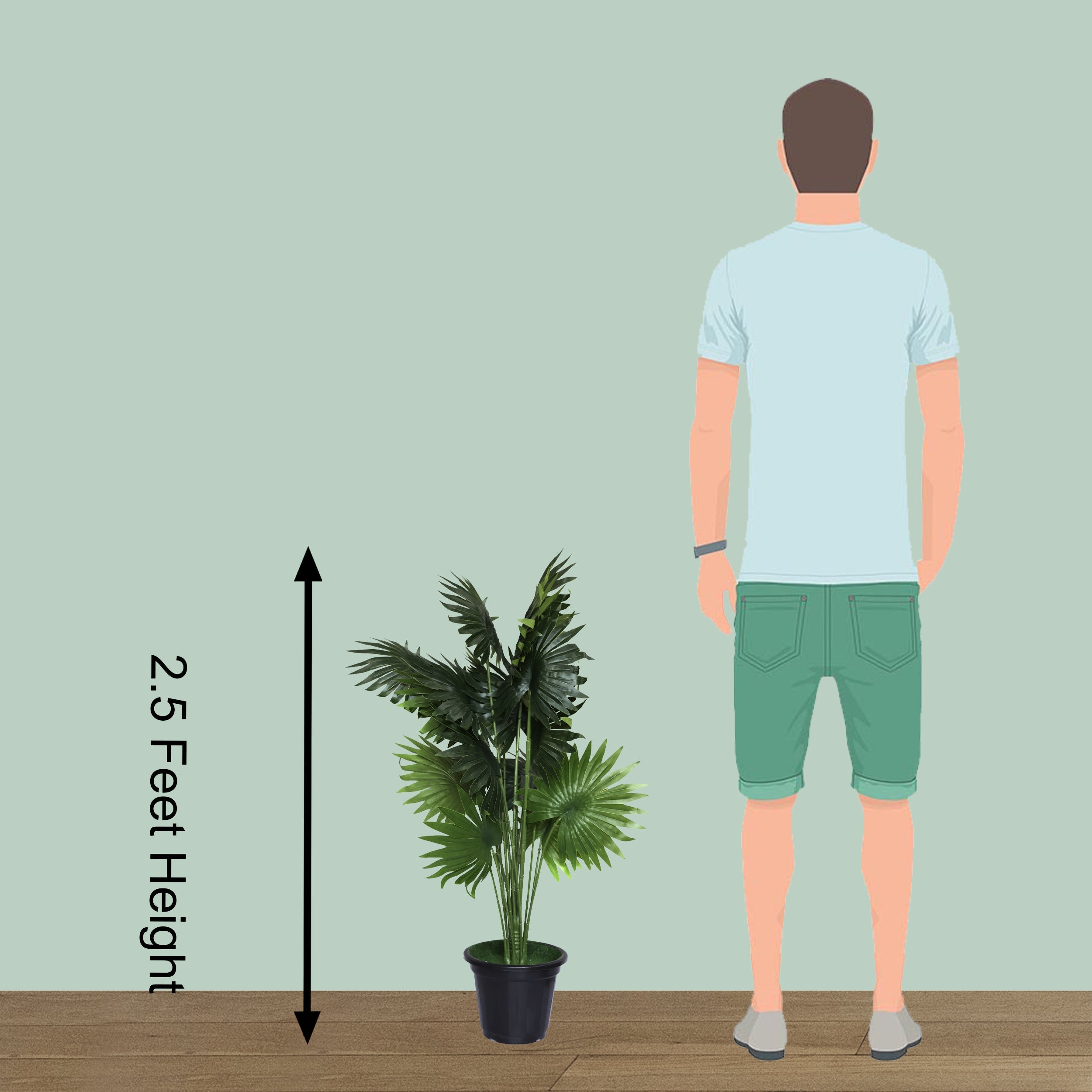 30" ( 76 cm ) Floret Artificial Fan Palm Plant Pack of 2