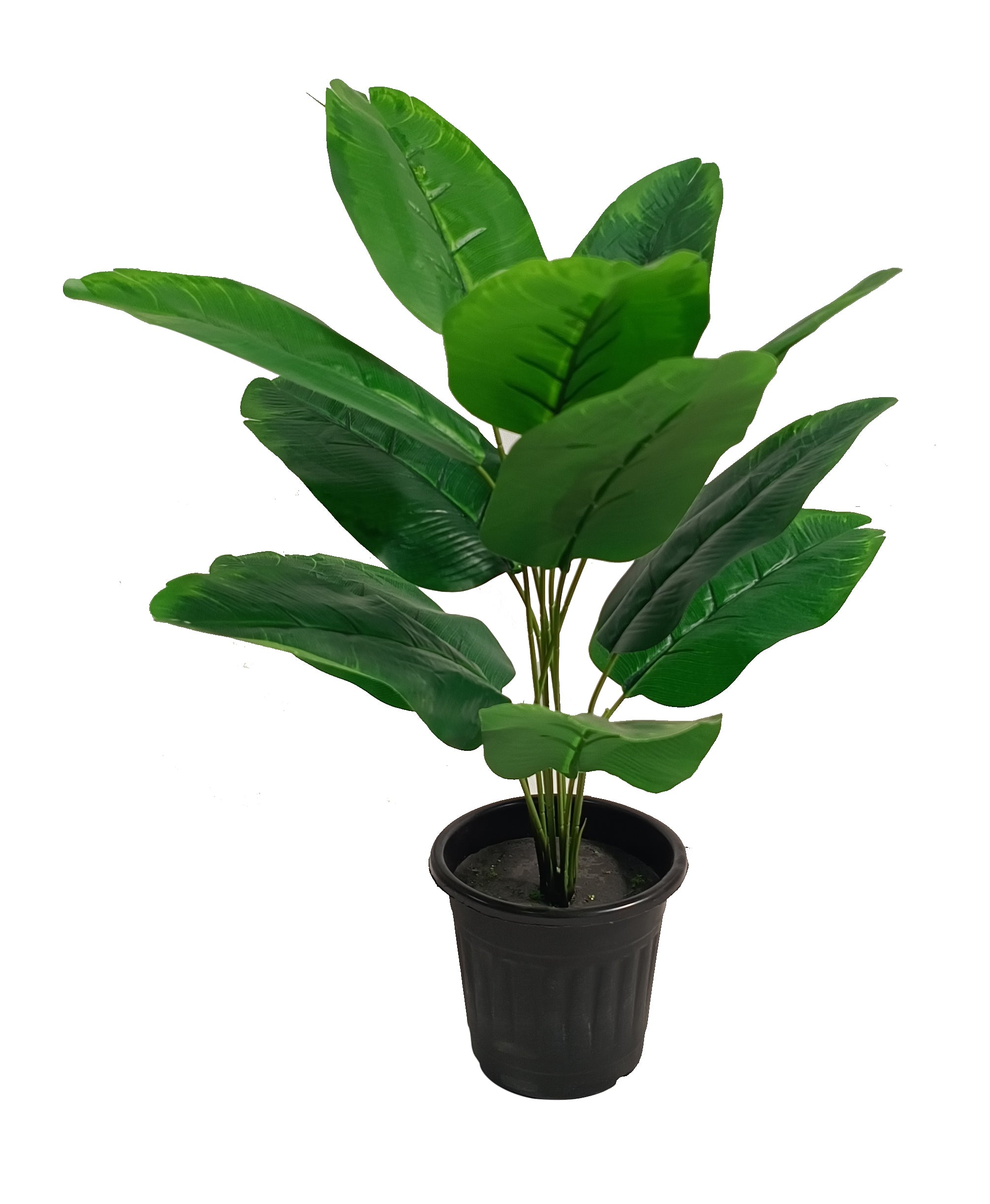 2 Feet (60 CM) Artificial Plant for Indoor and Outdoor, Home, Shop, Office, Restaurant Decoration Dark Green (Pack of 1)