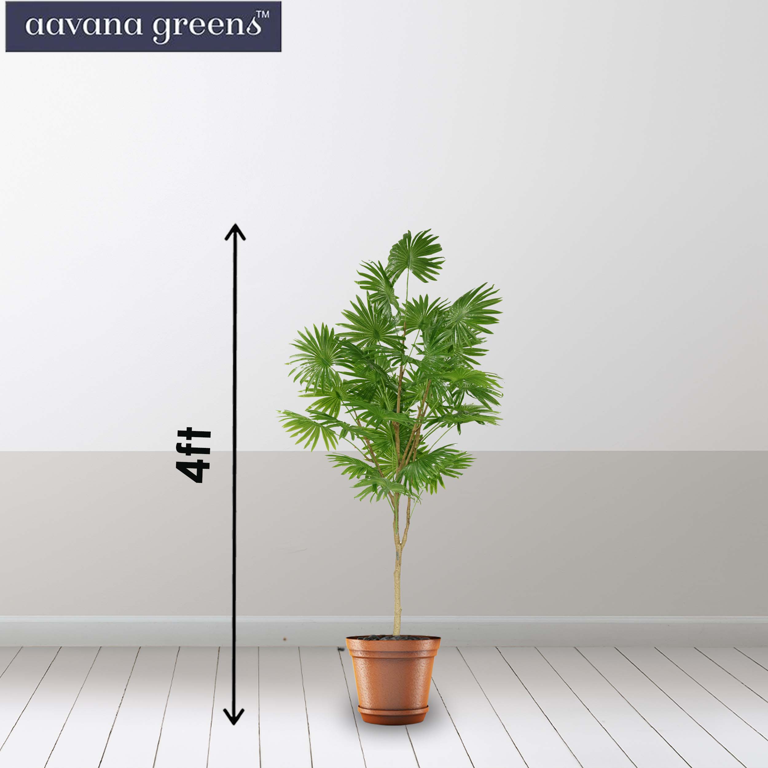 5 Feet ( 152 cm )  Palmyra Palm Artificial Plants Pack of 1