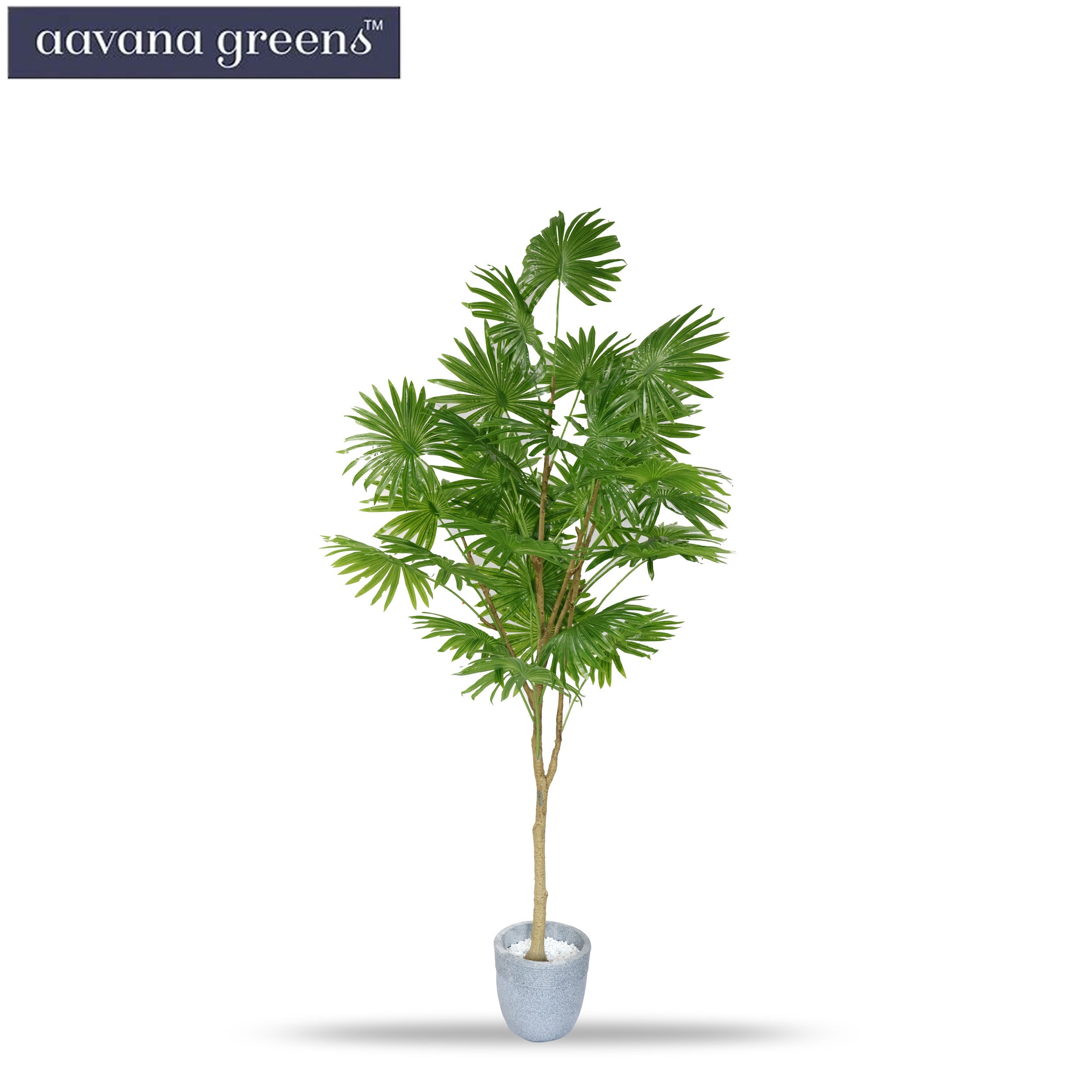 5 Feet ( 152 cm )  Palmyra Palm Artificial Plants Pack of 1