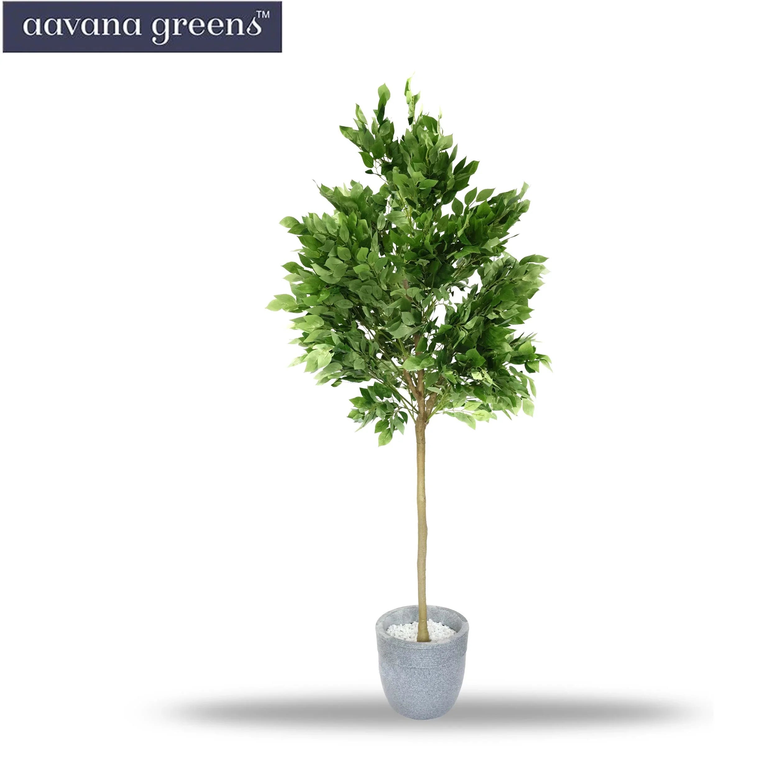 5 Feet (152 cm ) Ficus Artificial Plants Pack Of 1