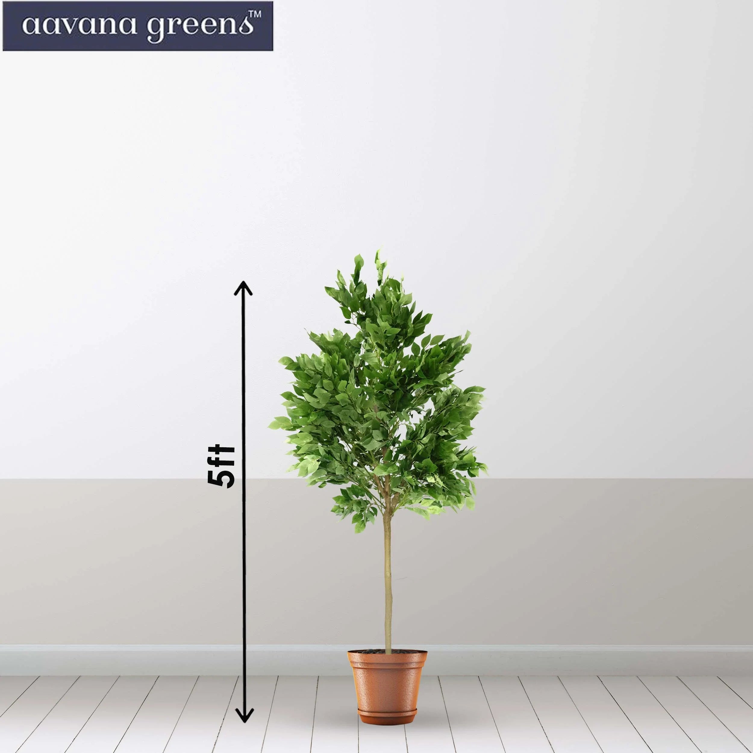 5 Feet (152 cm ) Ficus Artificial Plants Pack Of 1