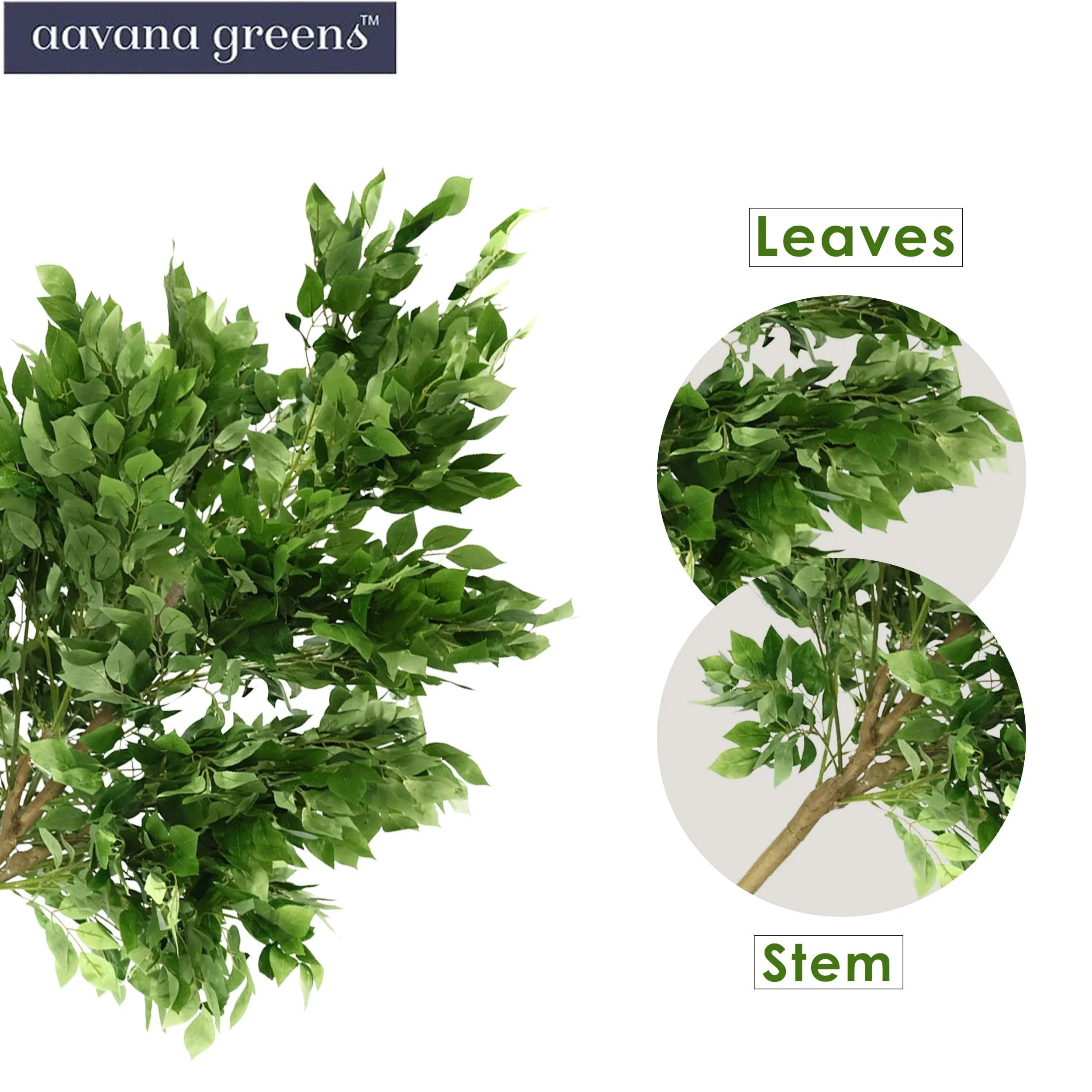 5 Feet (152 cm ) Ficus Artificial Plants Pack Of 1