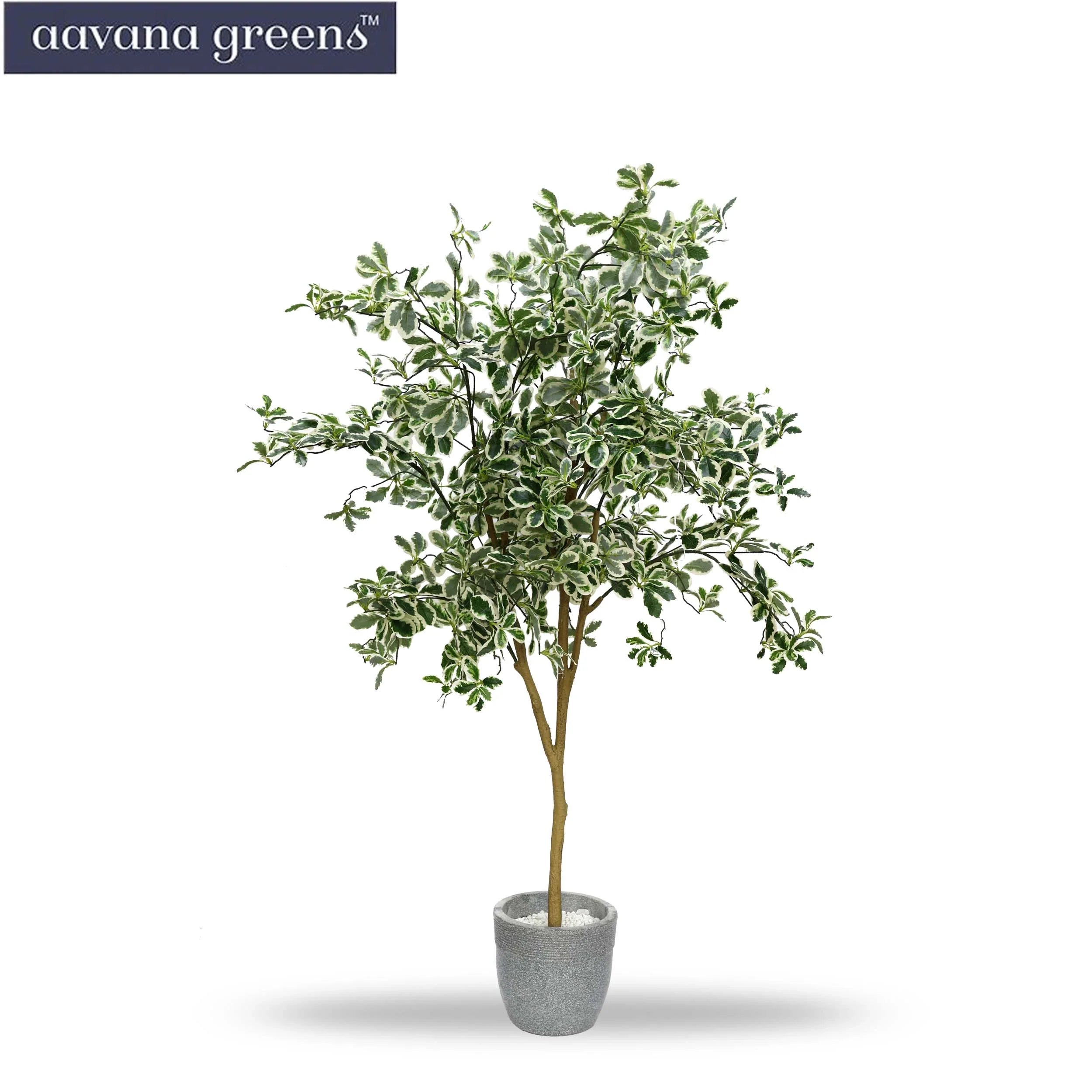 5 Feet ( 152 cm )  Baby Ficus Artificial Plants Pack Of 1