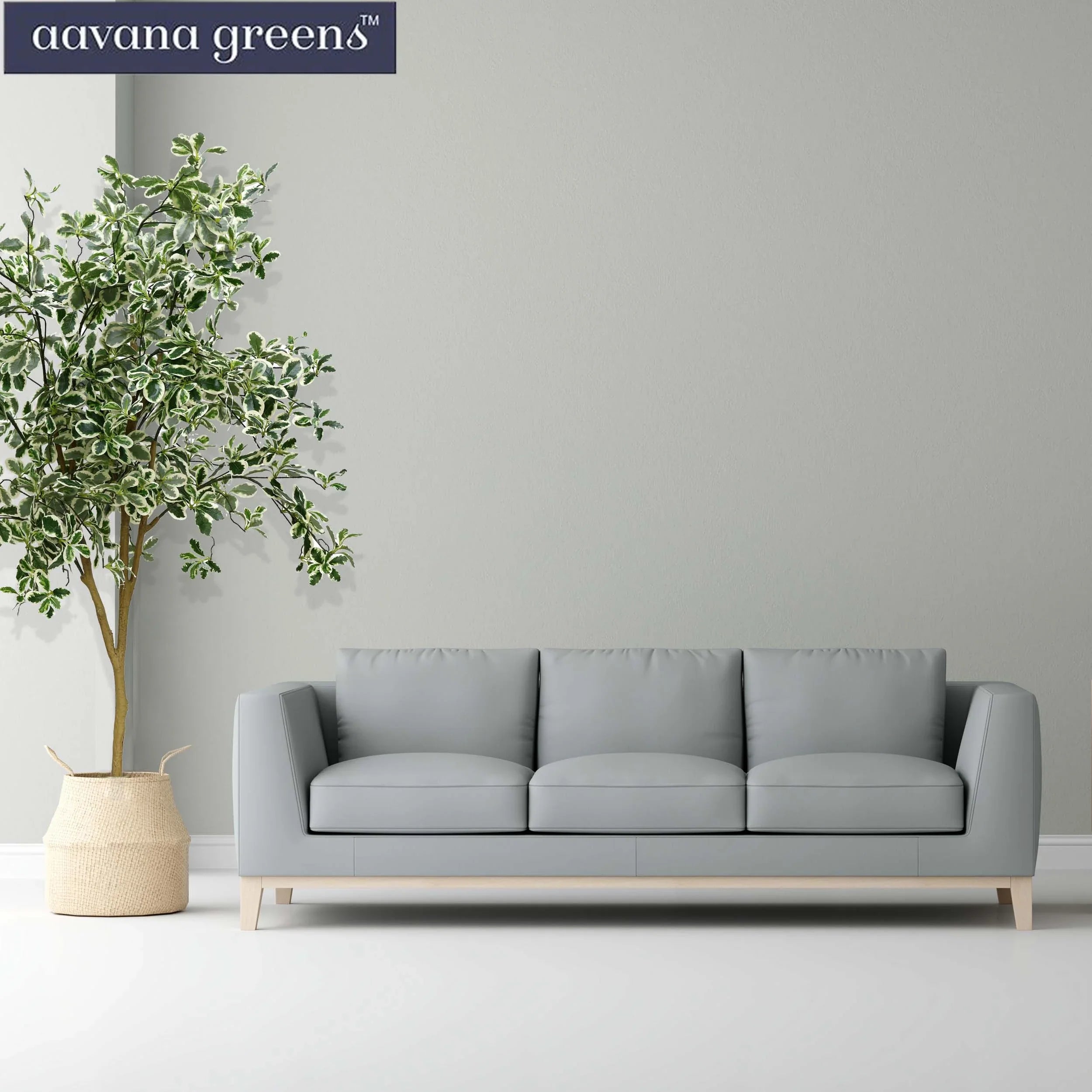 5 Feet ( 152 cm )  Baby Ficus Artificial Plants Pack Of 1