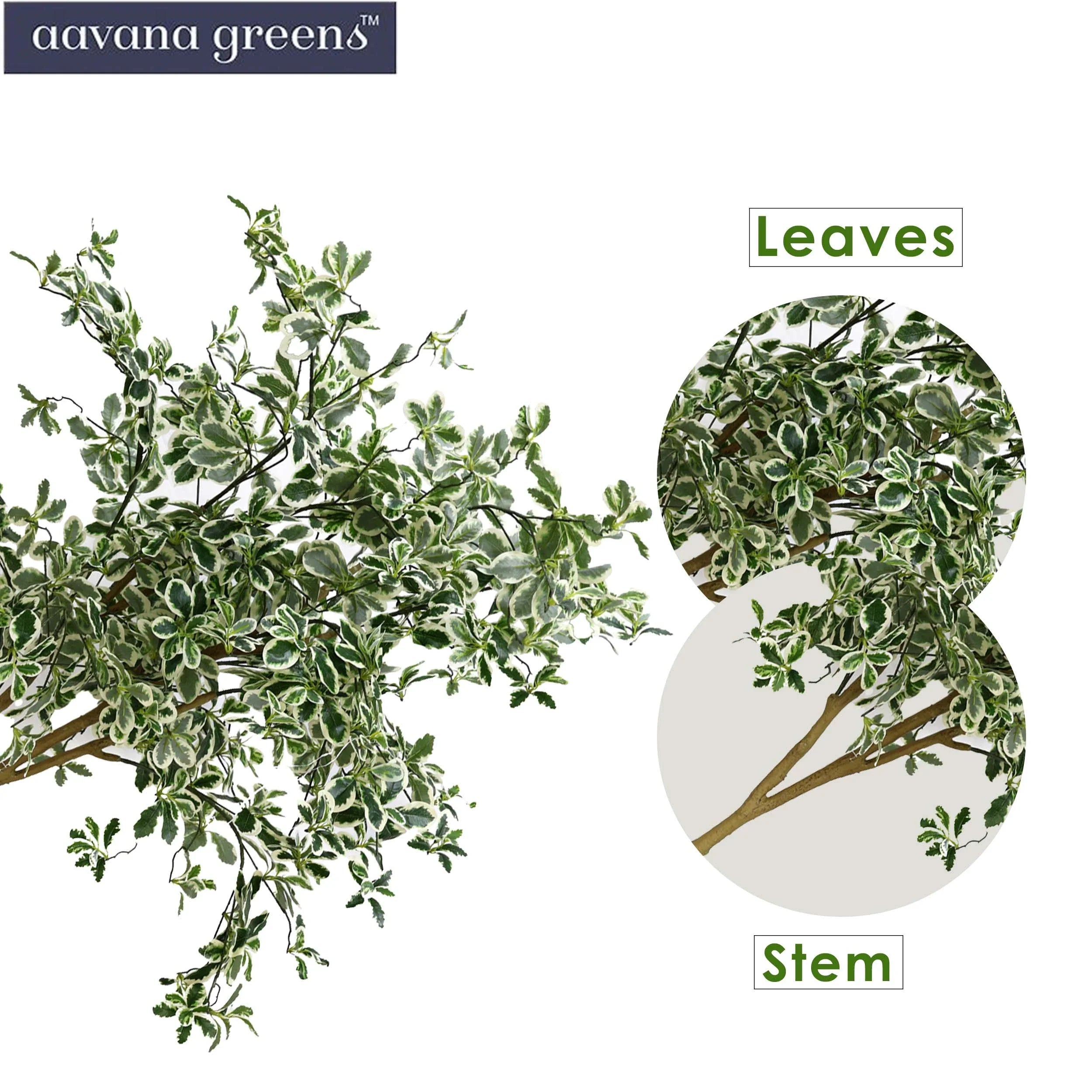 5 Feet ( 152 cm )  Baby Ficus Artificial Plants Pack Of 1