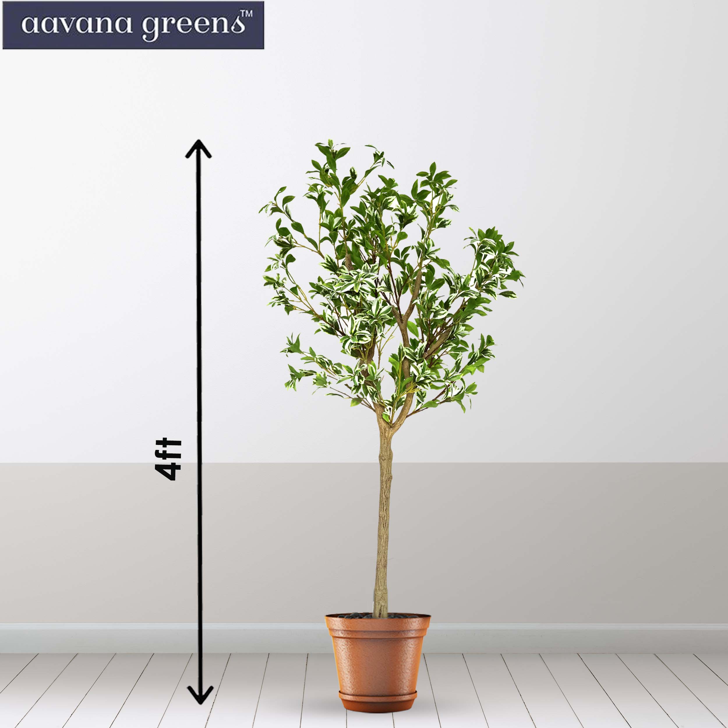 5 Feet ( 152 CM ) Ficus Golden King Artificial Plants Pack Of 1