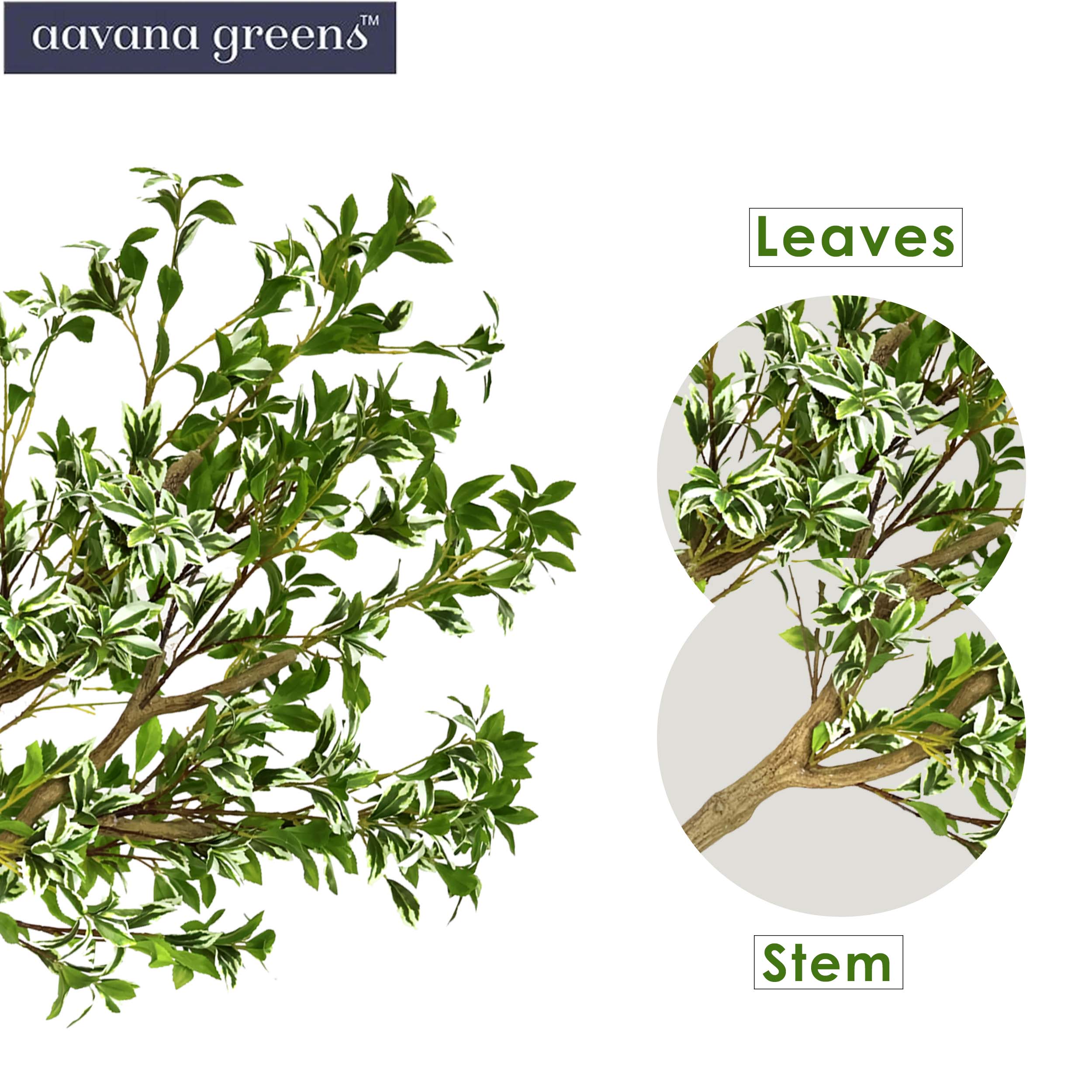 5 Feet ( 152 CM ) Ficus Golden King Artificial Plants Pack Of 1