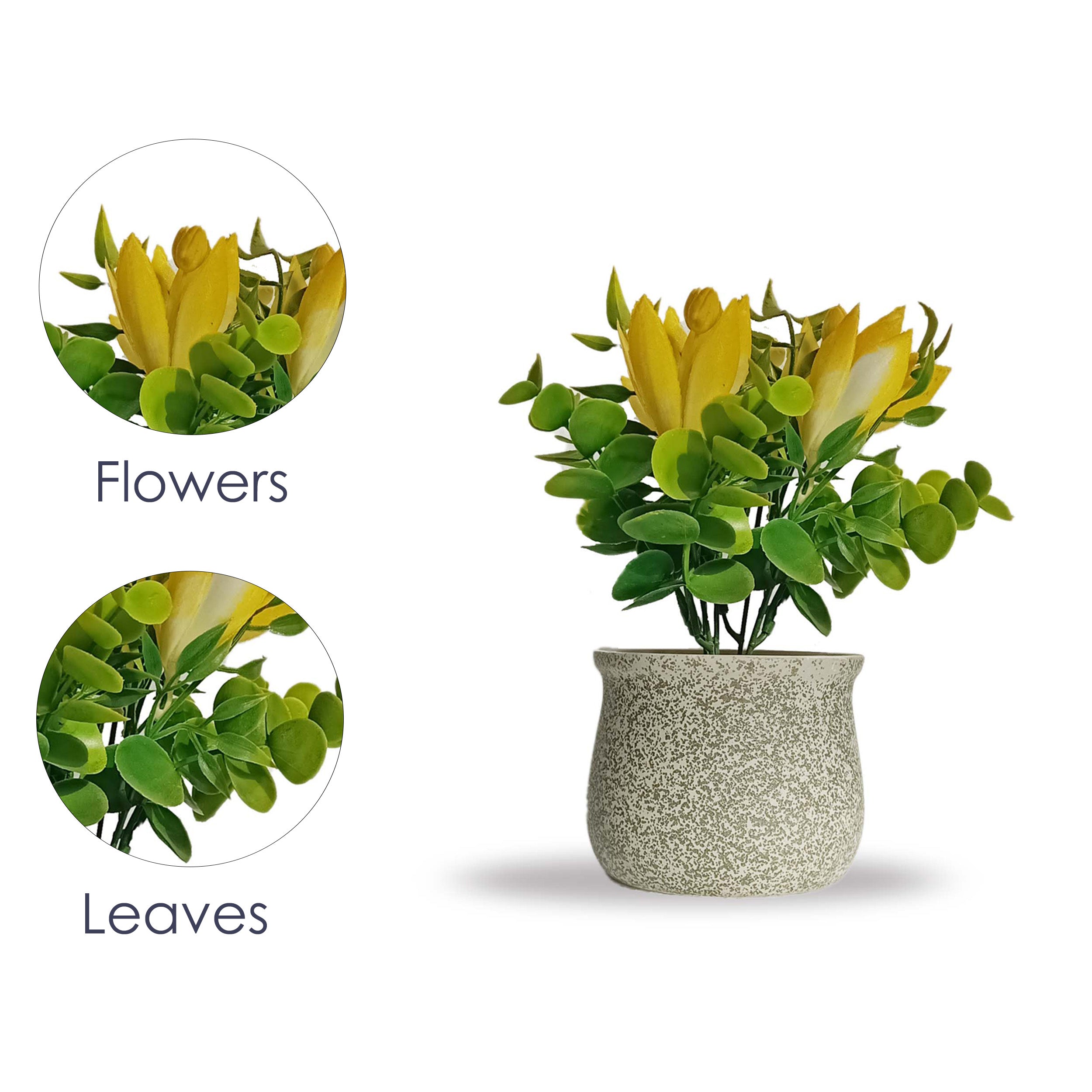 Artificial Bonsai Plant With CERAMIC POT (24 CM)