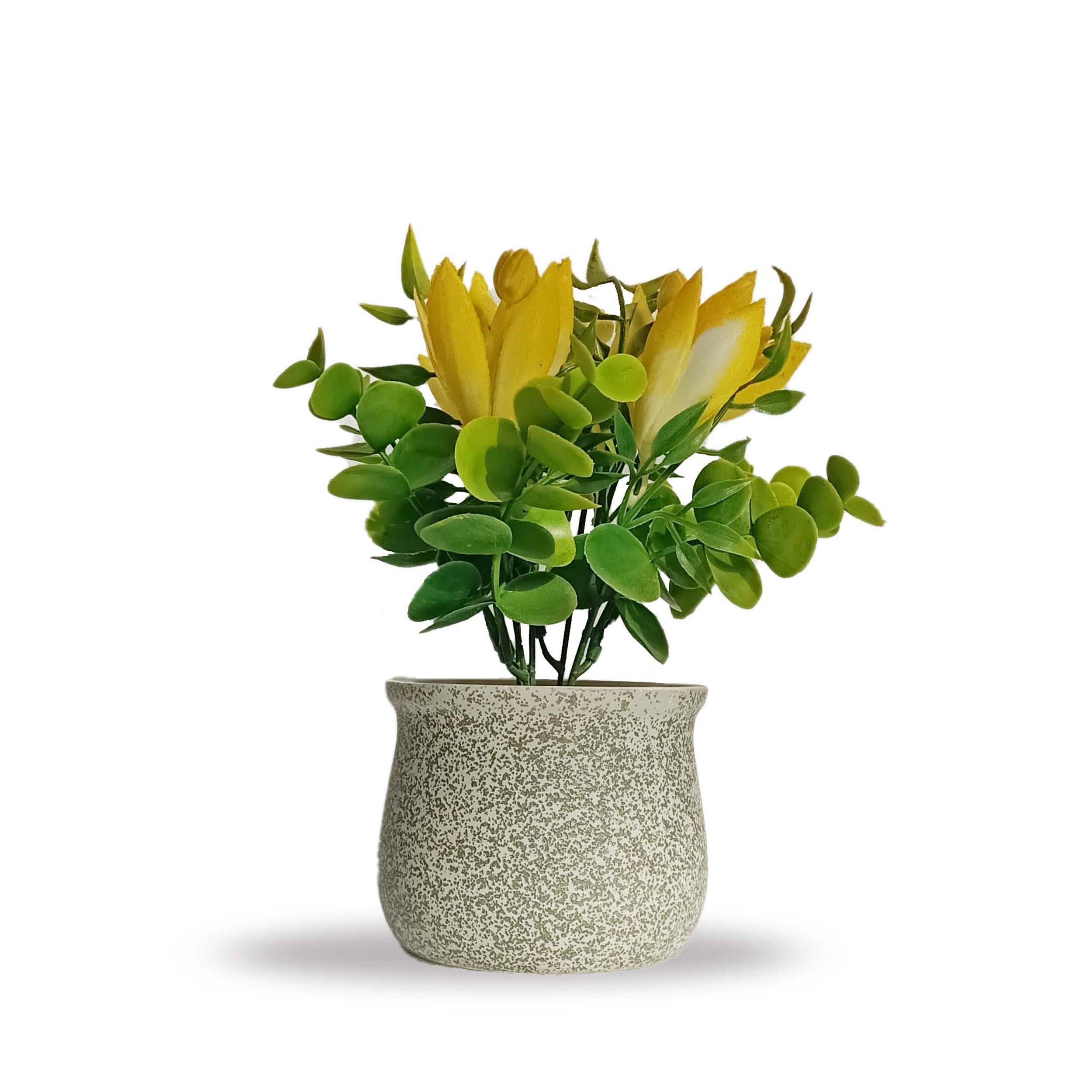 Artificial Bonsai Plant With CERAMIC POT (24 CM)