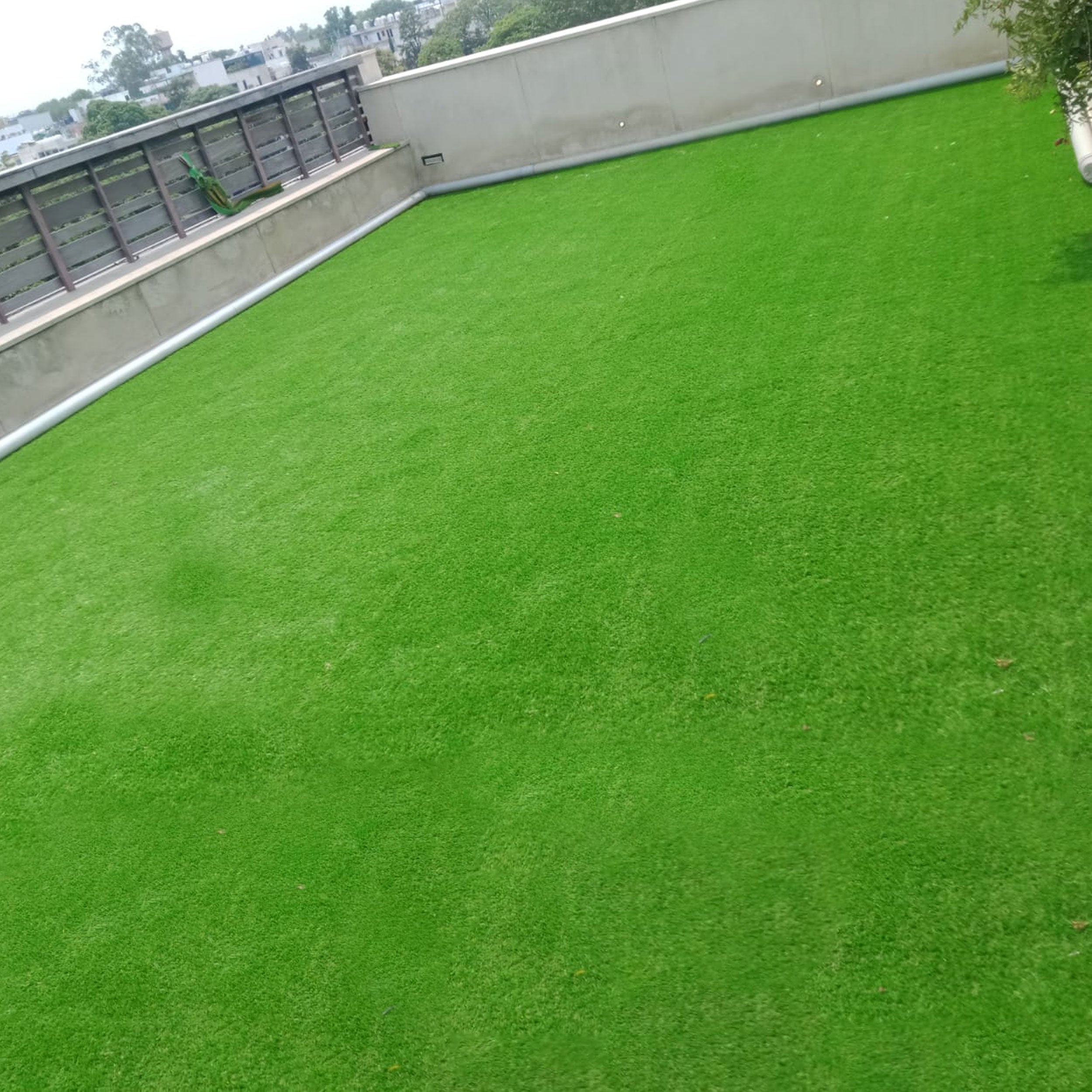 52mm Mint Artificial Grass 6.5 Feet Width PE & PU Material Grass For Indoor And Outdoor Use