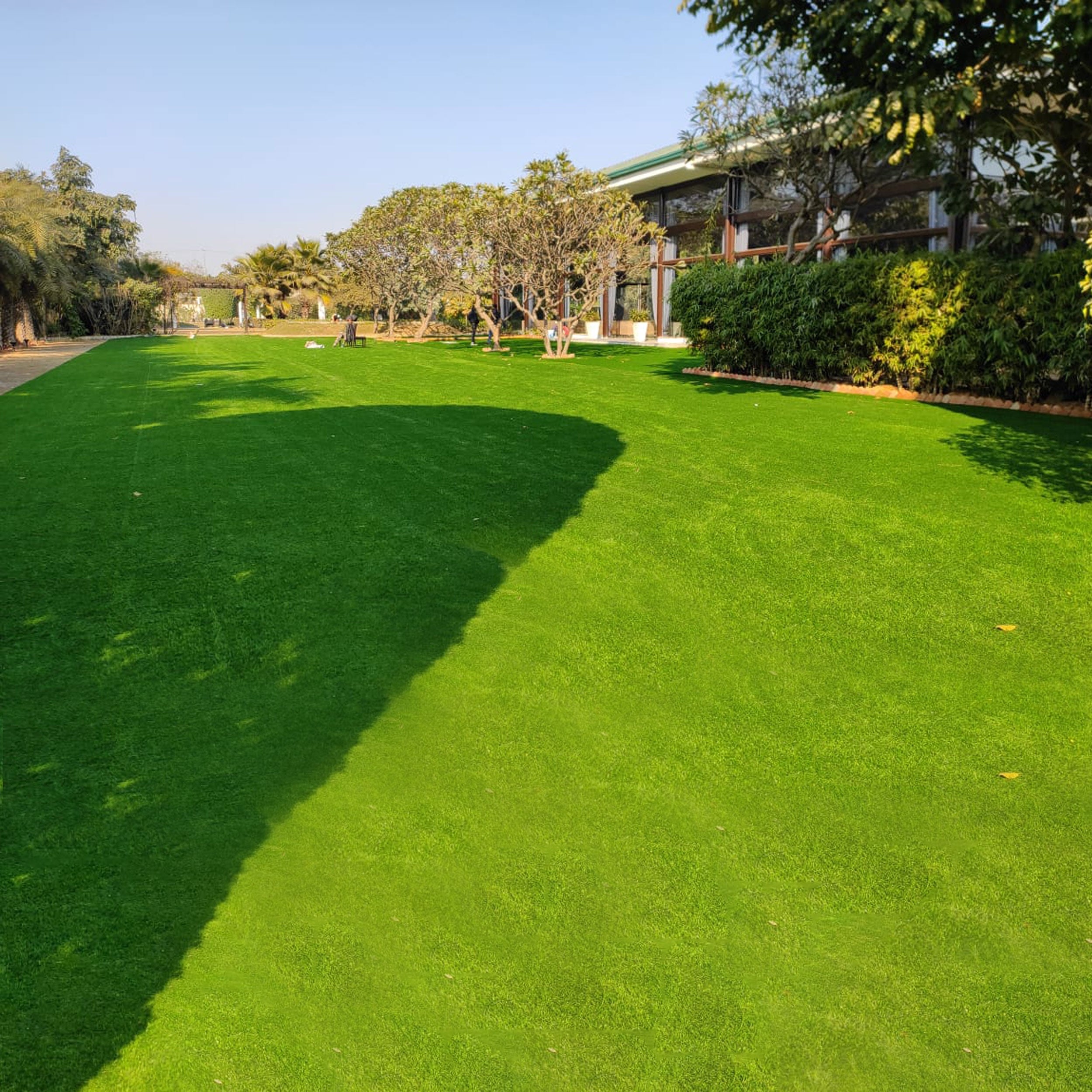 62mm Mint Artificial Grass 6.5 Feet Width PE & PU Material Grass For Indoor And Outdoor Use