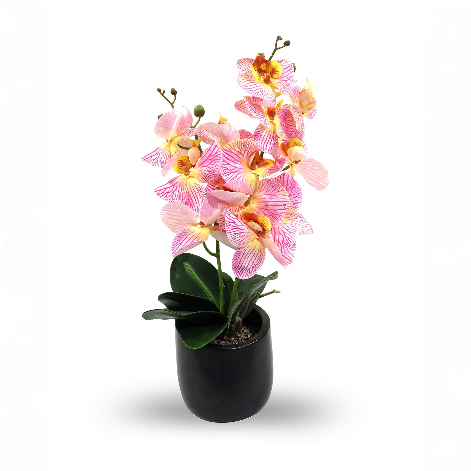 48 cm Artificial Bonsai Plant With Ceramic Pot