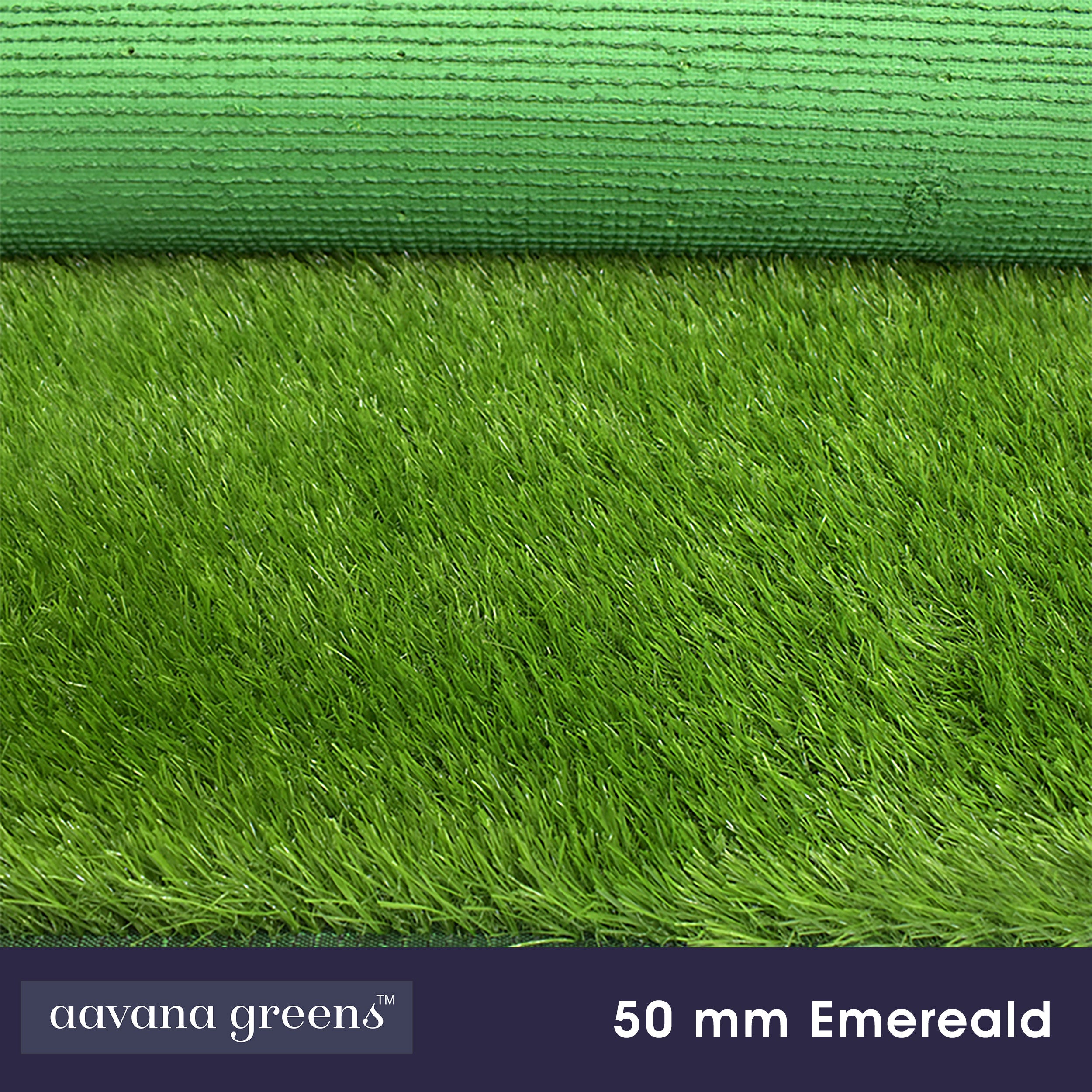 50mm Emerald Artificial Grass 6.5 Feet Width PE & PU Material Grass For Indoor And Outdoor Use