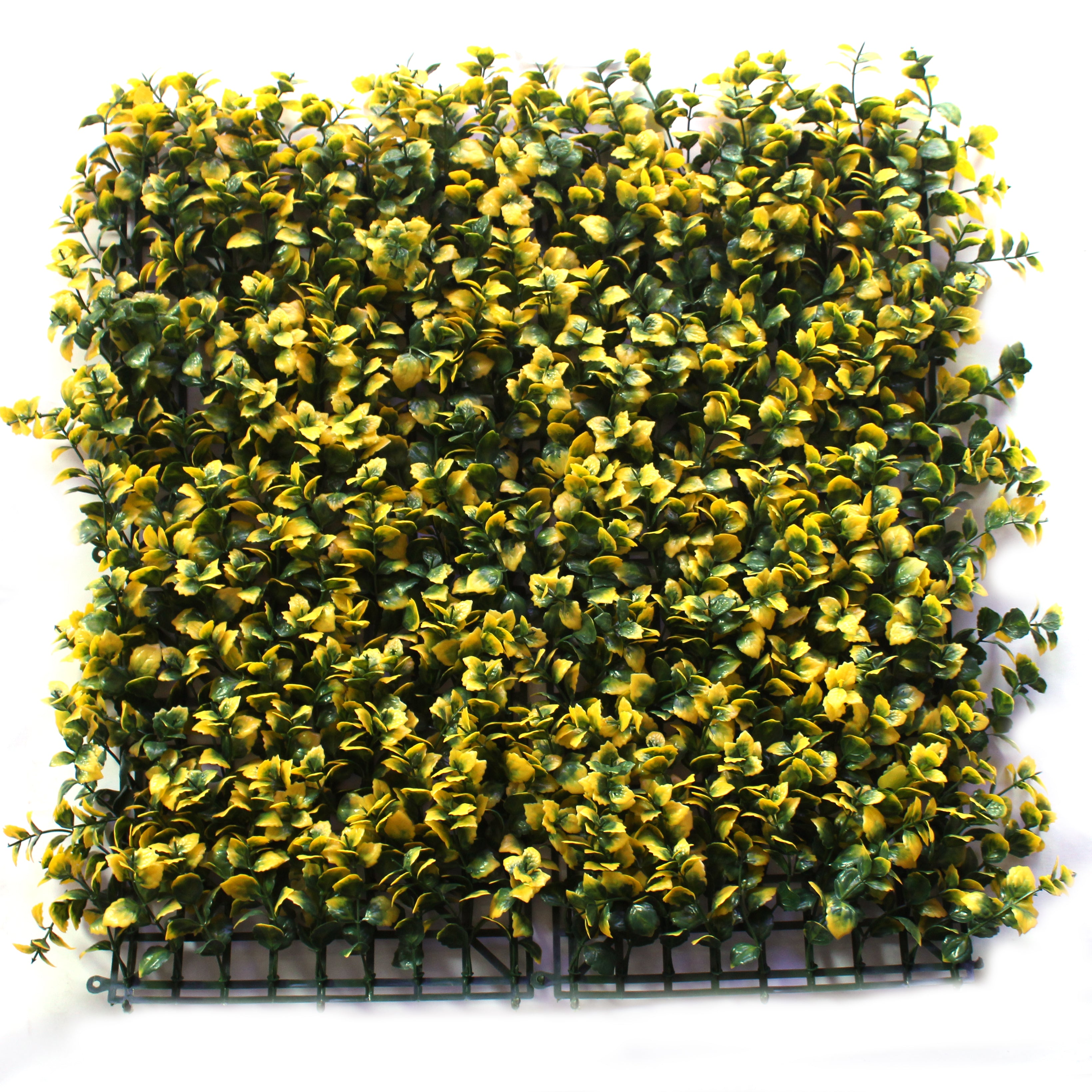 Artificial Vertical Garden Wall Panel 50X50 CM