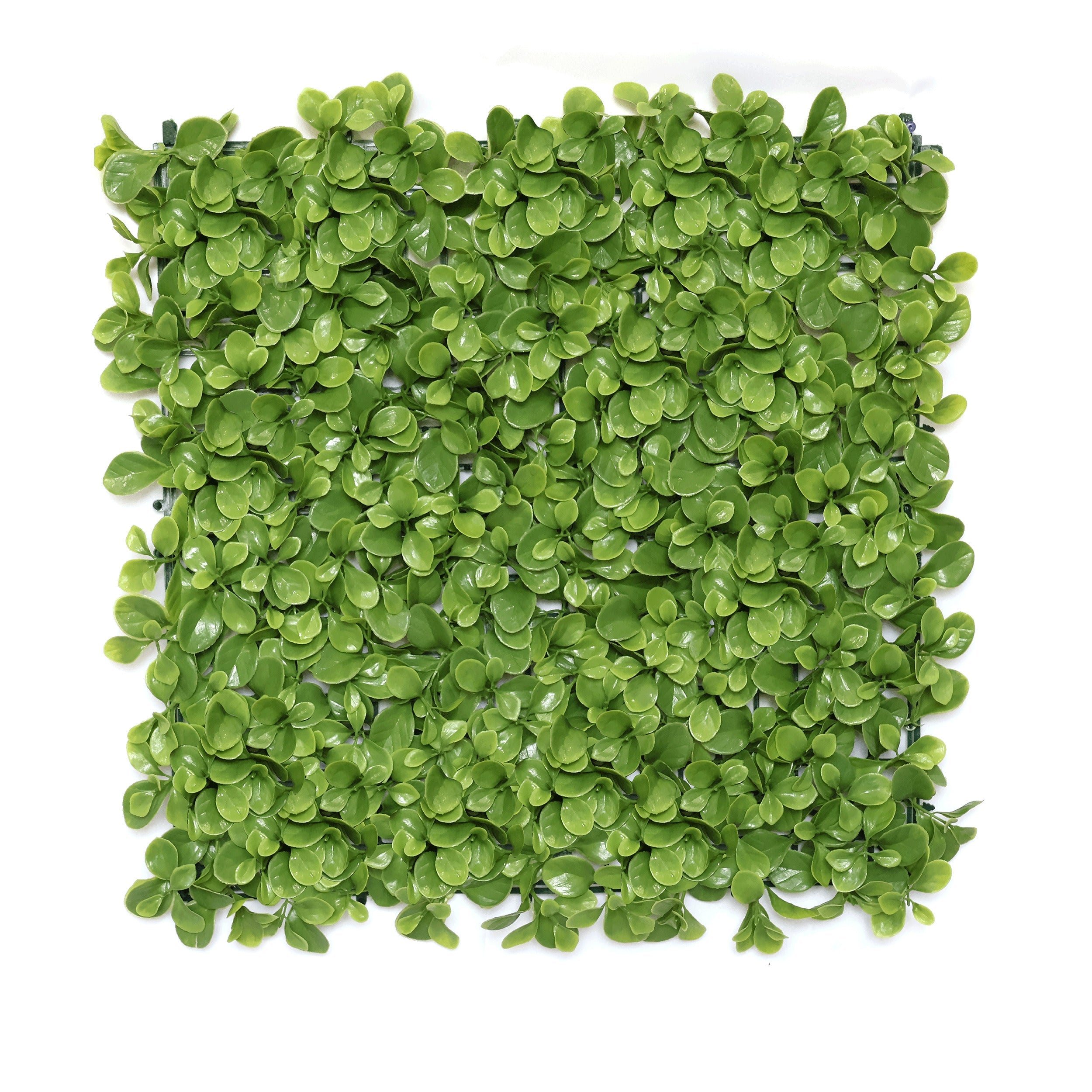 Artificial Vertical Garden Wall Panel 50X50 CM