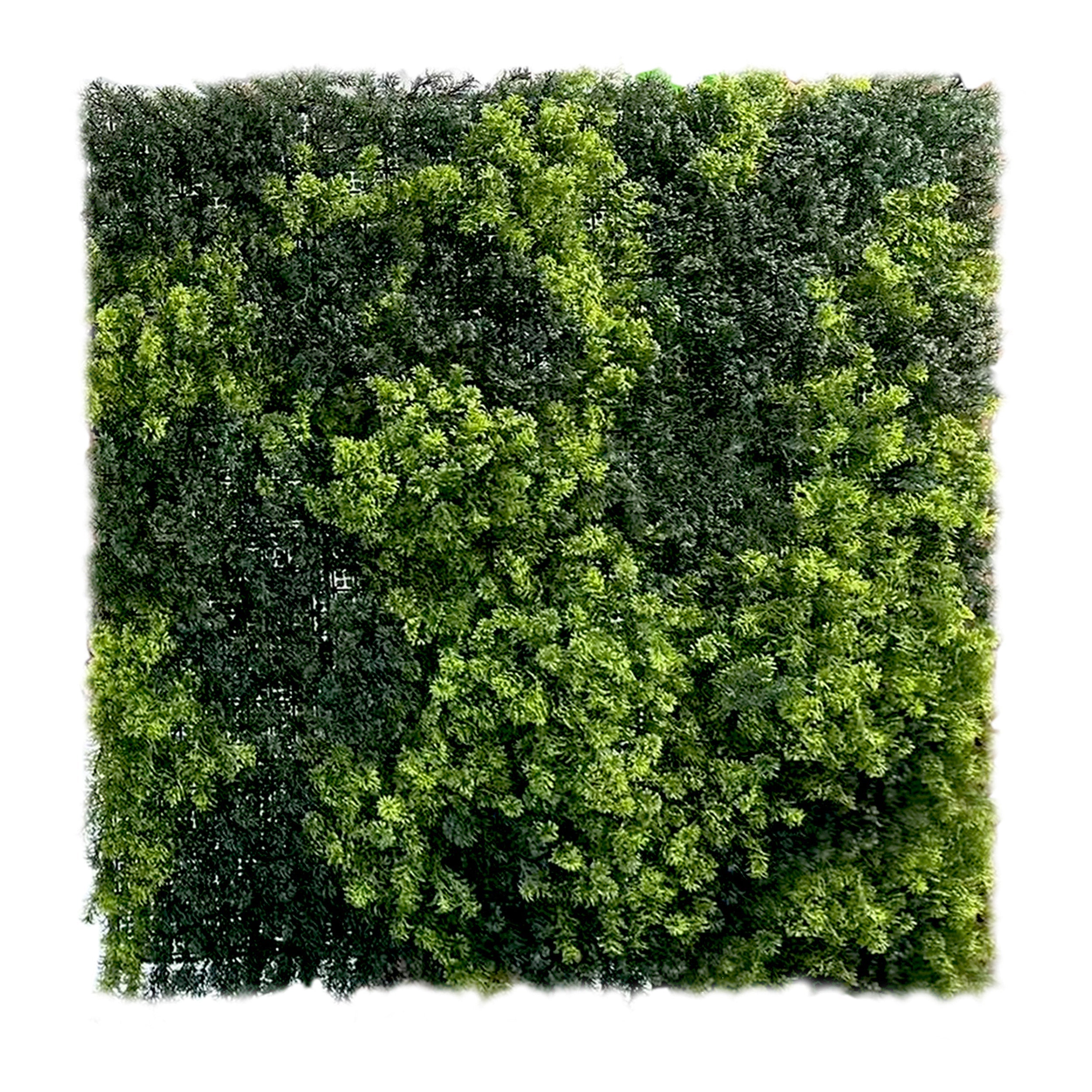 Artificial Vertical Garden Wall Panel 100X100 CM