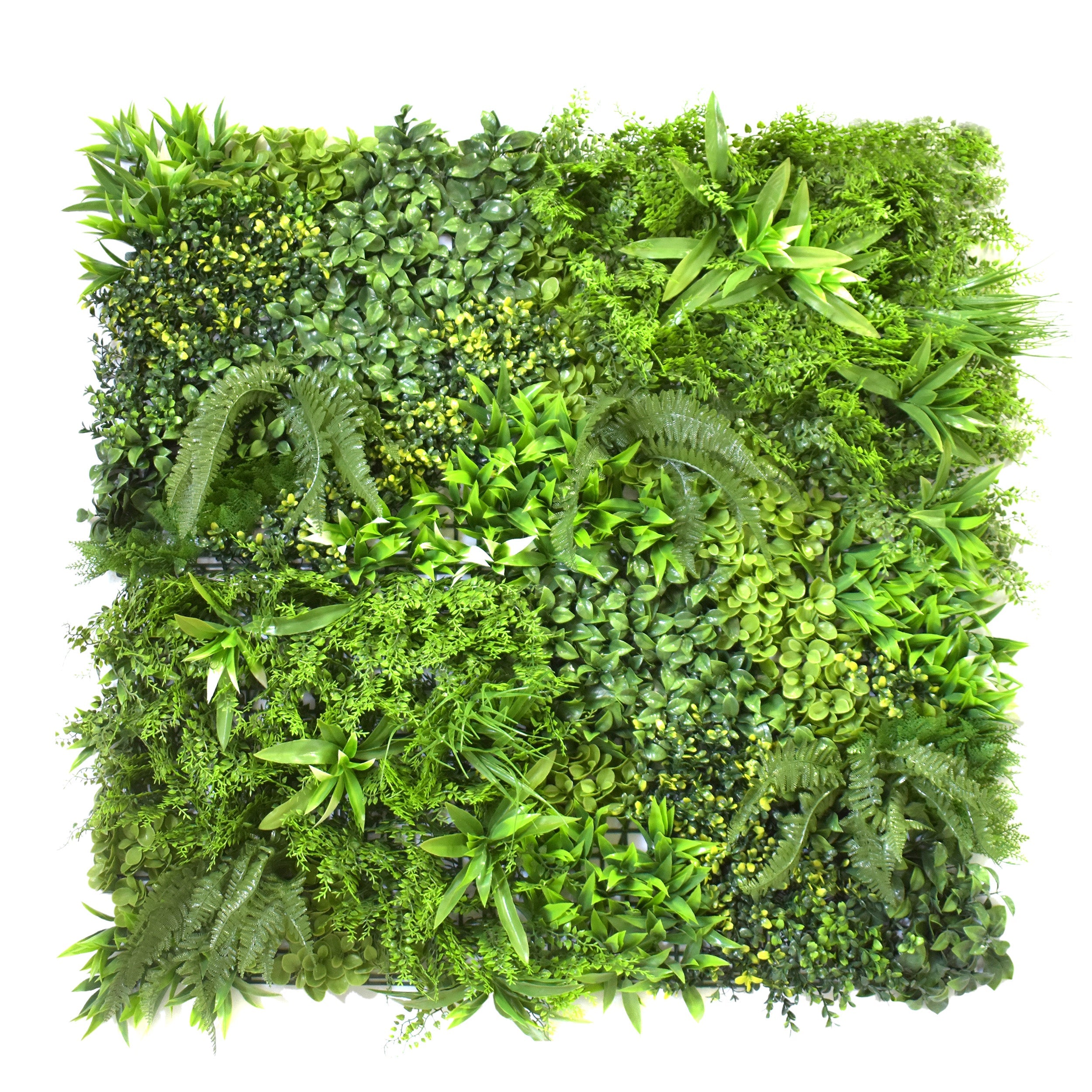 Aavana Greens Artificial Vertical Garden Wall Panel 100X100 CM For Home & Office Decoration 100% UV Indoor And Outdoor Use Option 17