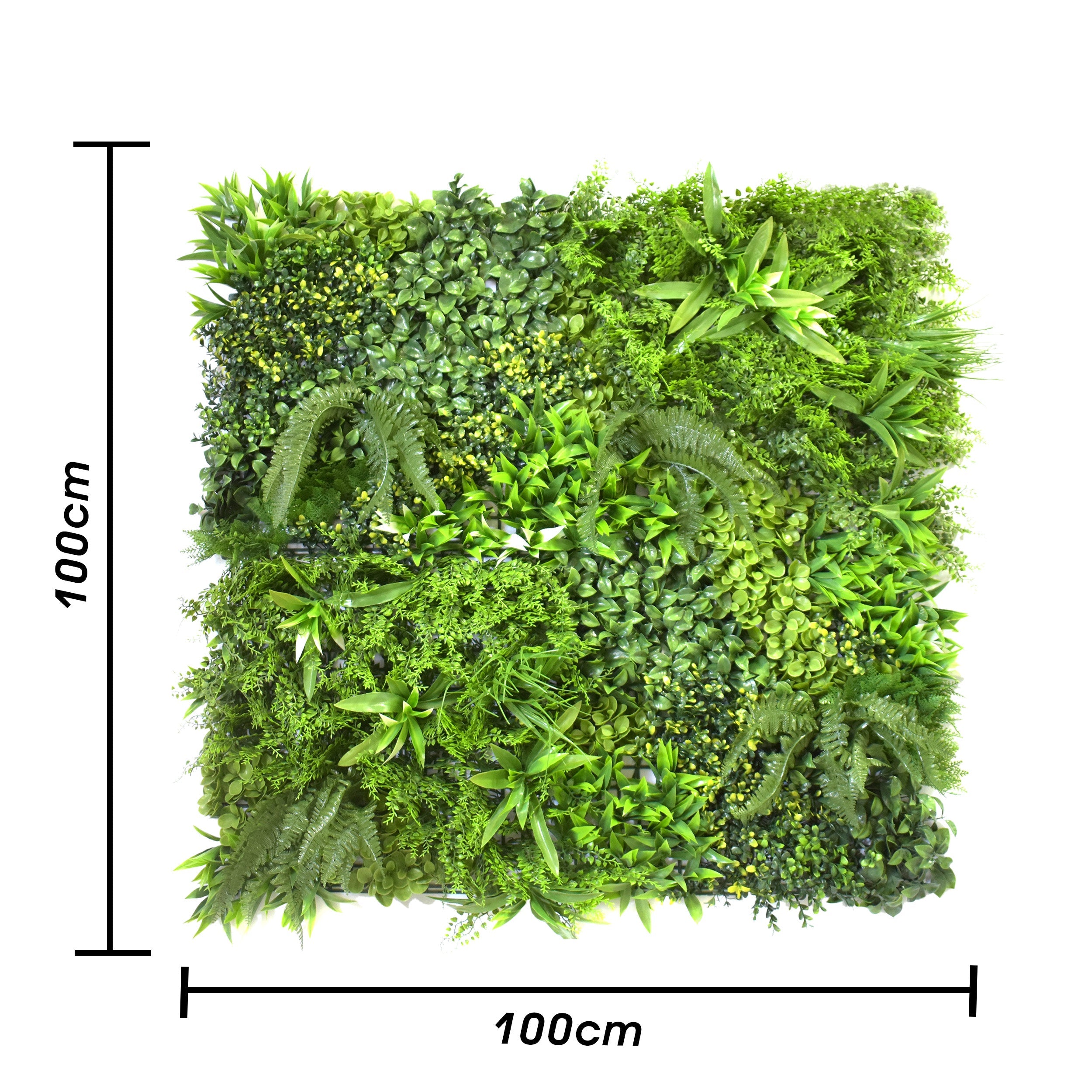 Aavana Greens Artificial Vertical Garden Wall Panel 100X100 CM For Home & Office Decoration 100% UV Indoor And Outdoor Use Option 17