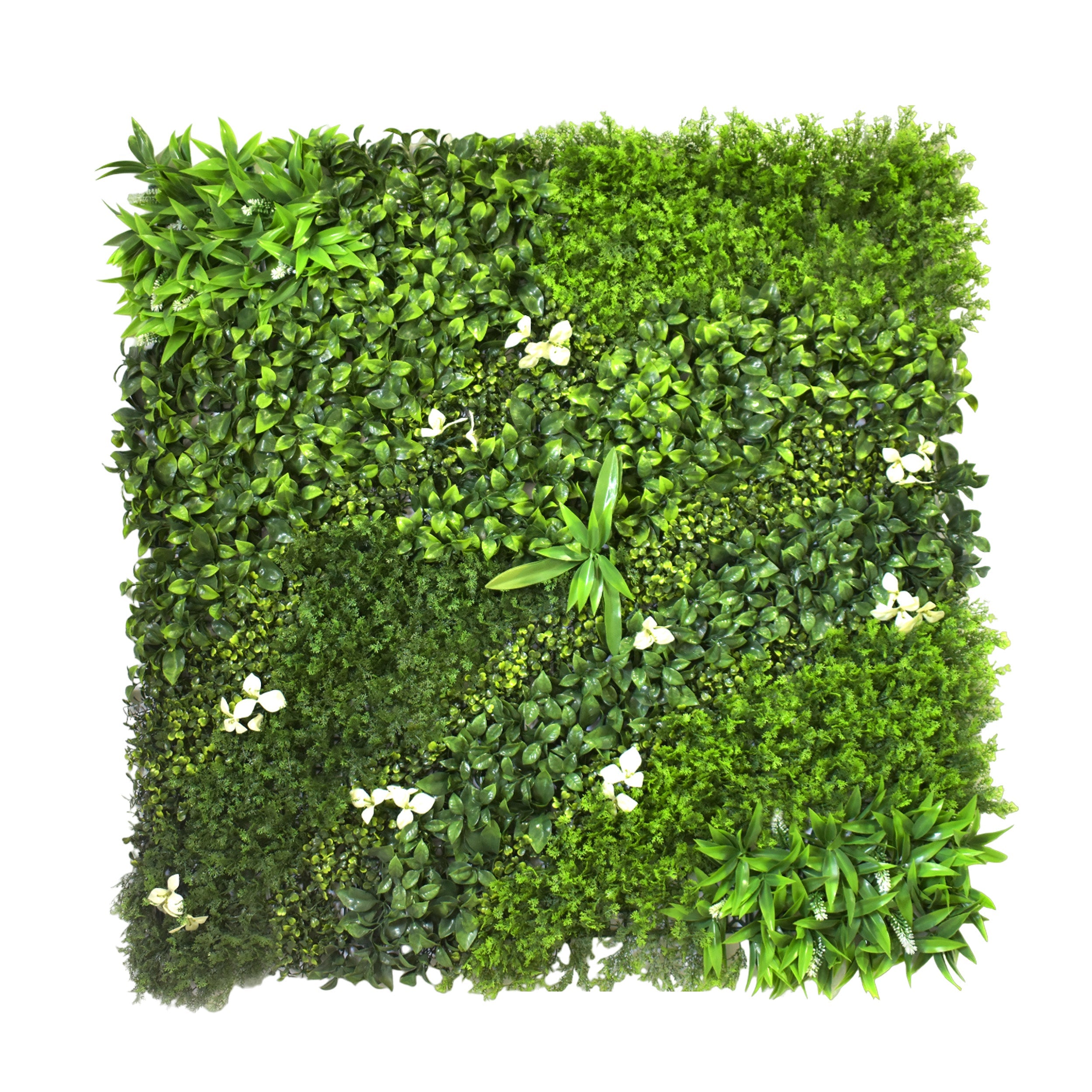 Aavana Greens Artificial Vertical Garden Wall Panel 100X100 CM For Home & Office Decoration 100% UV Indoor And Outdoor Use Option 19