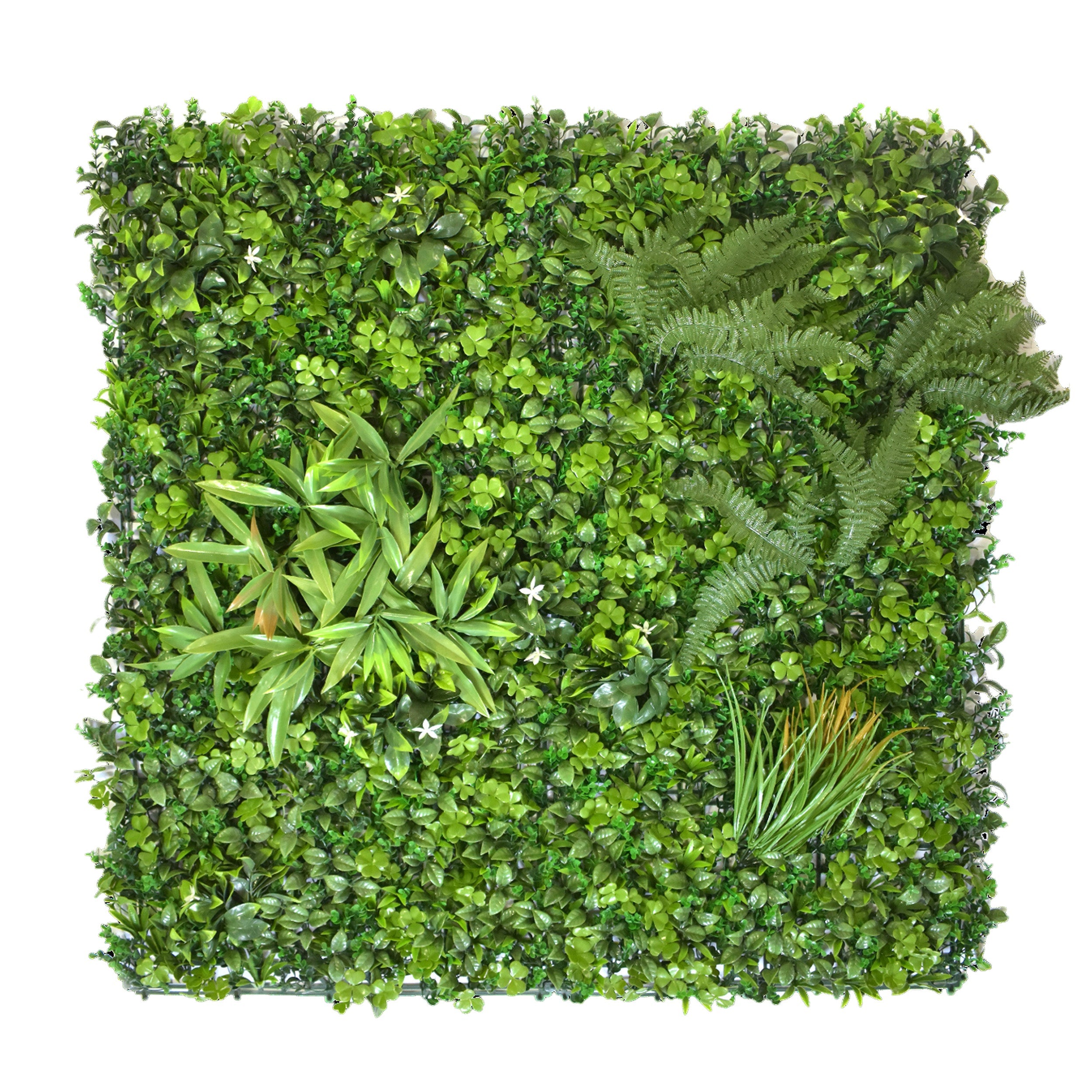 Aavana Greens Artificial Vertical Garden Wall Panel 100X100 CM For Home & Office Decoration 100% UV Indoor And Outdoor Use Option 22