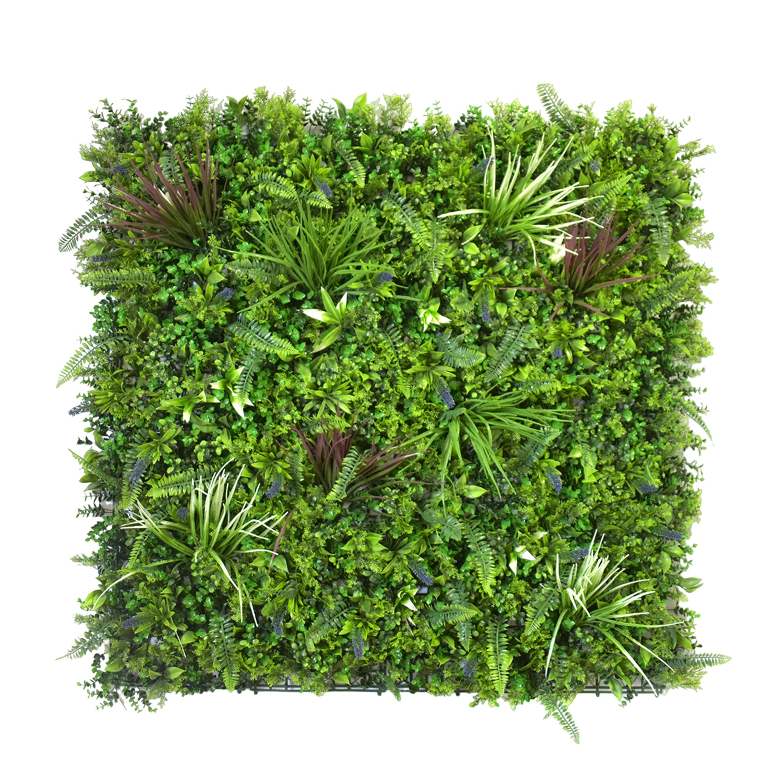 Aavana Greens Artificial Vertical Garden Wall Panel 100X100 CM For Home & Office Decoration 100% UV Indoor And Outdoor Use Option 23