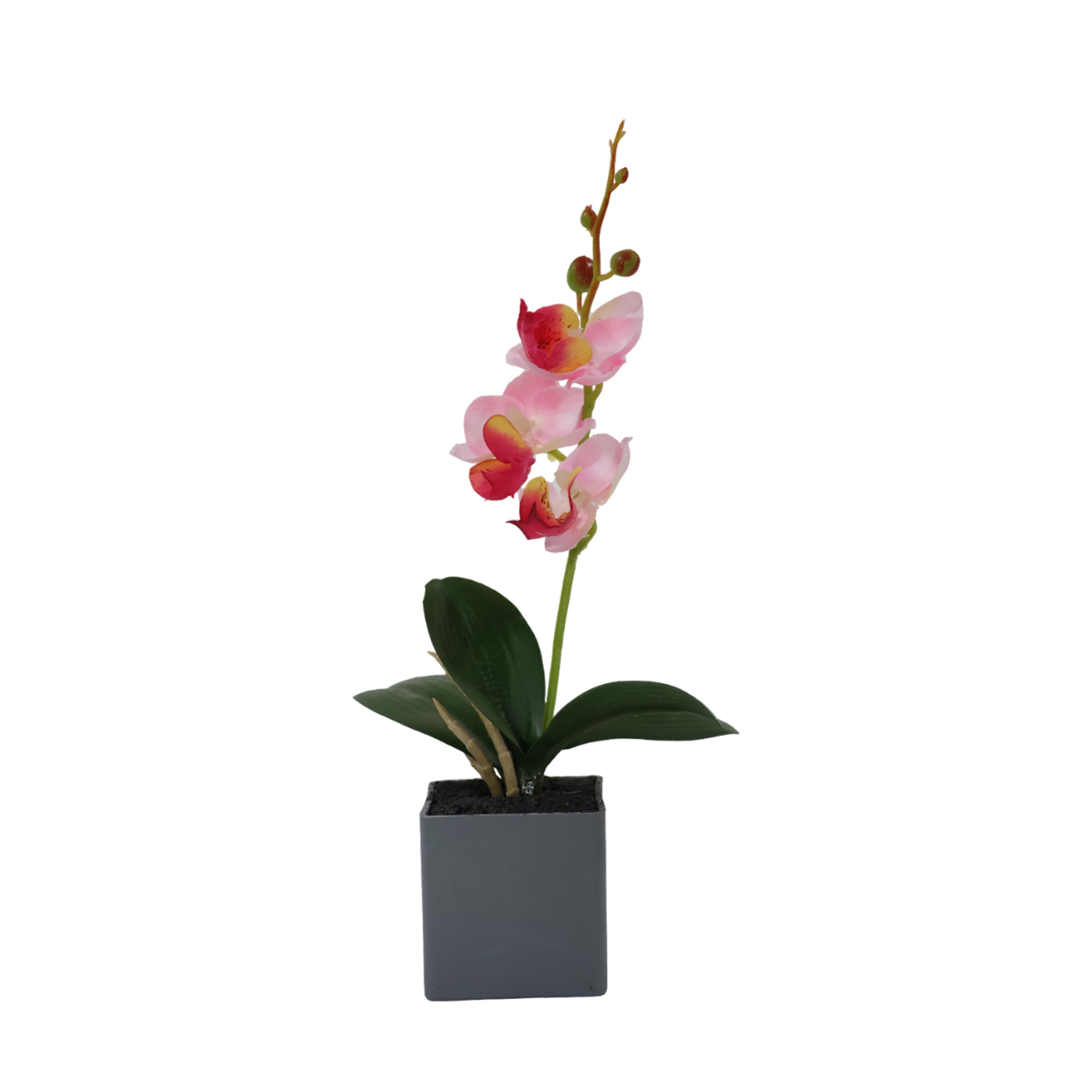 Aavana greens Artificial Bonsai Plant, Orchid Artificial Flowers Plant, Artificial Decorative Plant Home Office Indoor and Outdoor Decoration