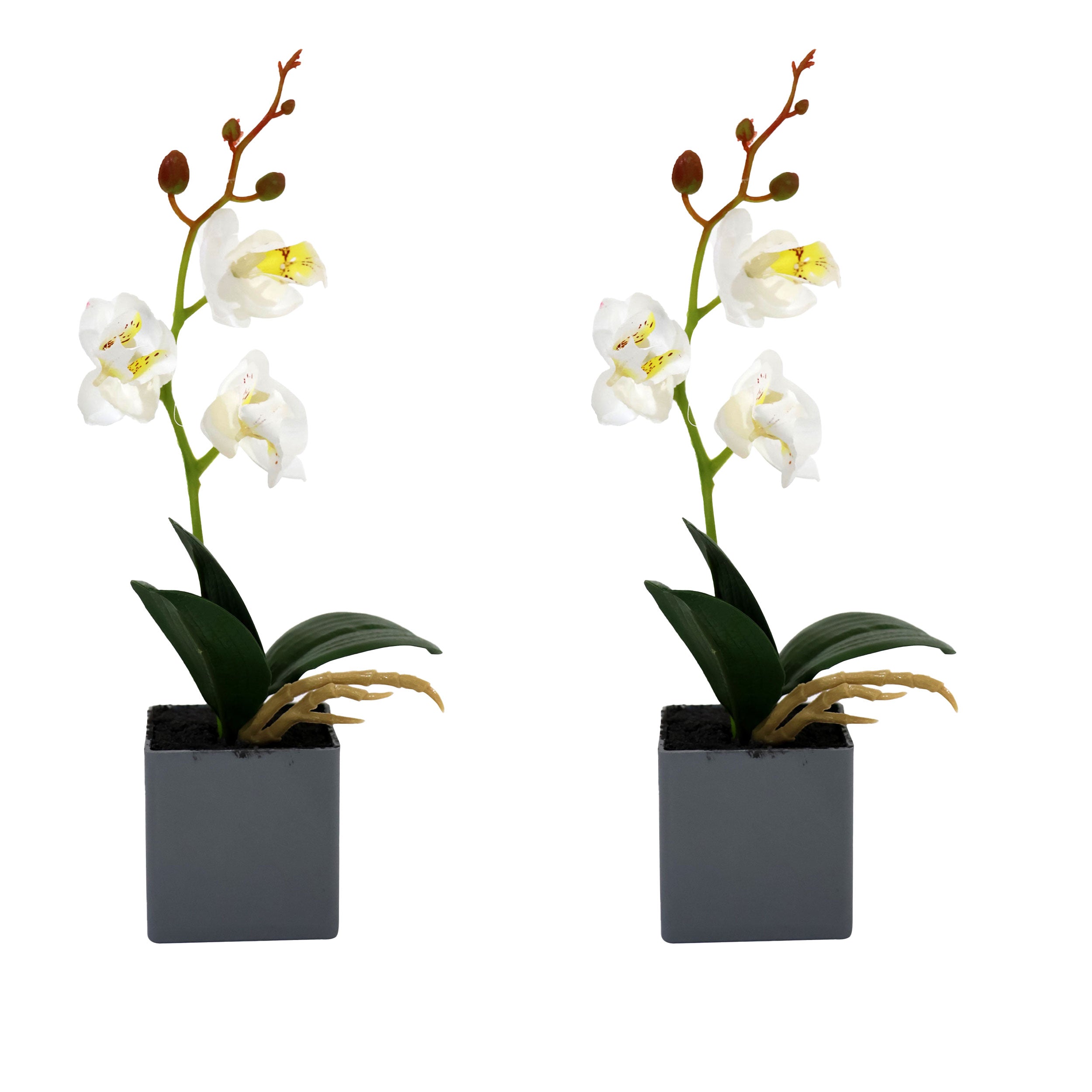 Aavana greens Artificial Bonsai Plant, Orchid Artificial Flowers Plant, Artificial Decorative Plant Home Office Indoor and Outdoor Decoration
