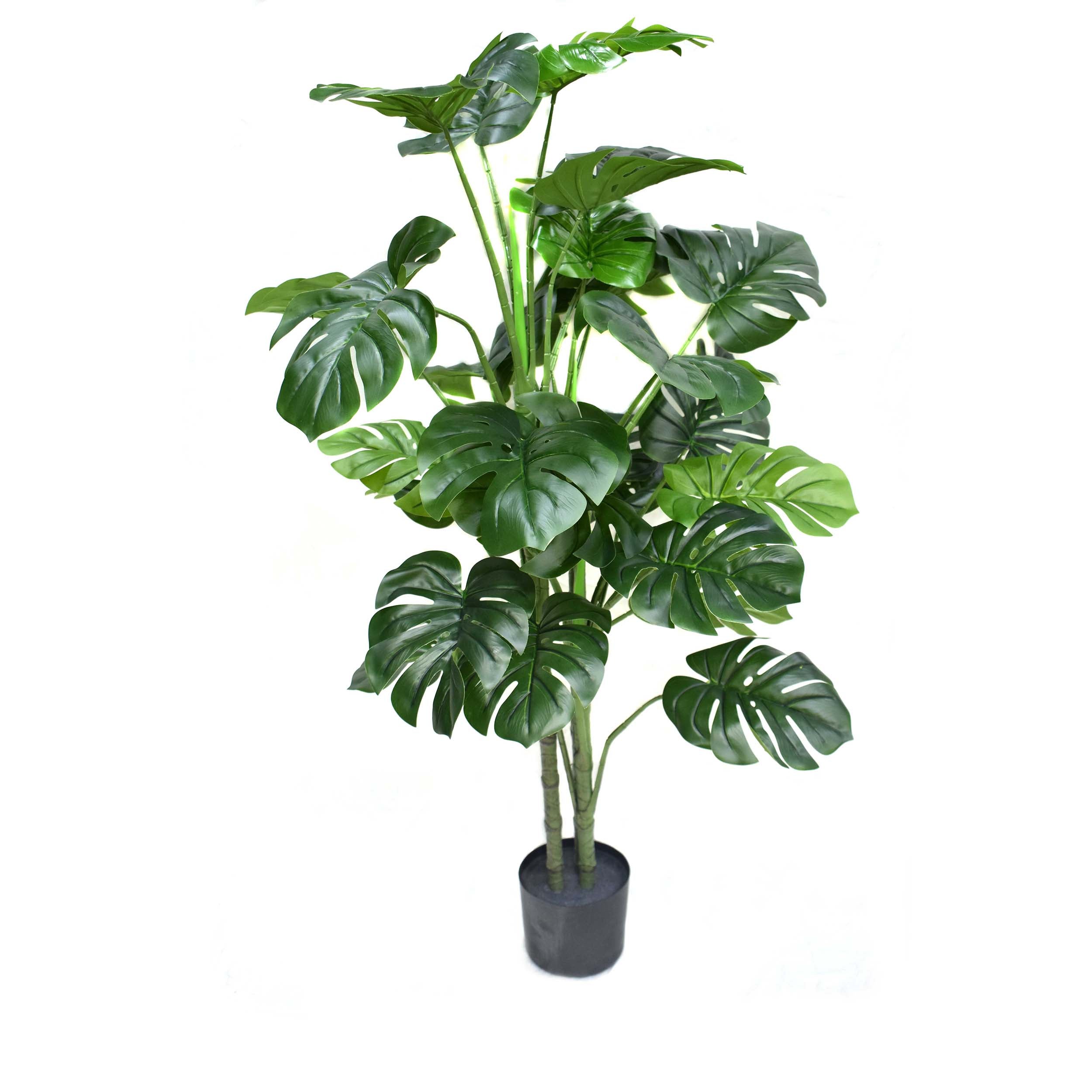 Aavana Greens Decorative Artificial Monstera Plants Pack Of 1