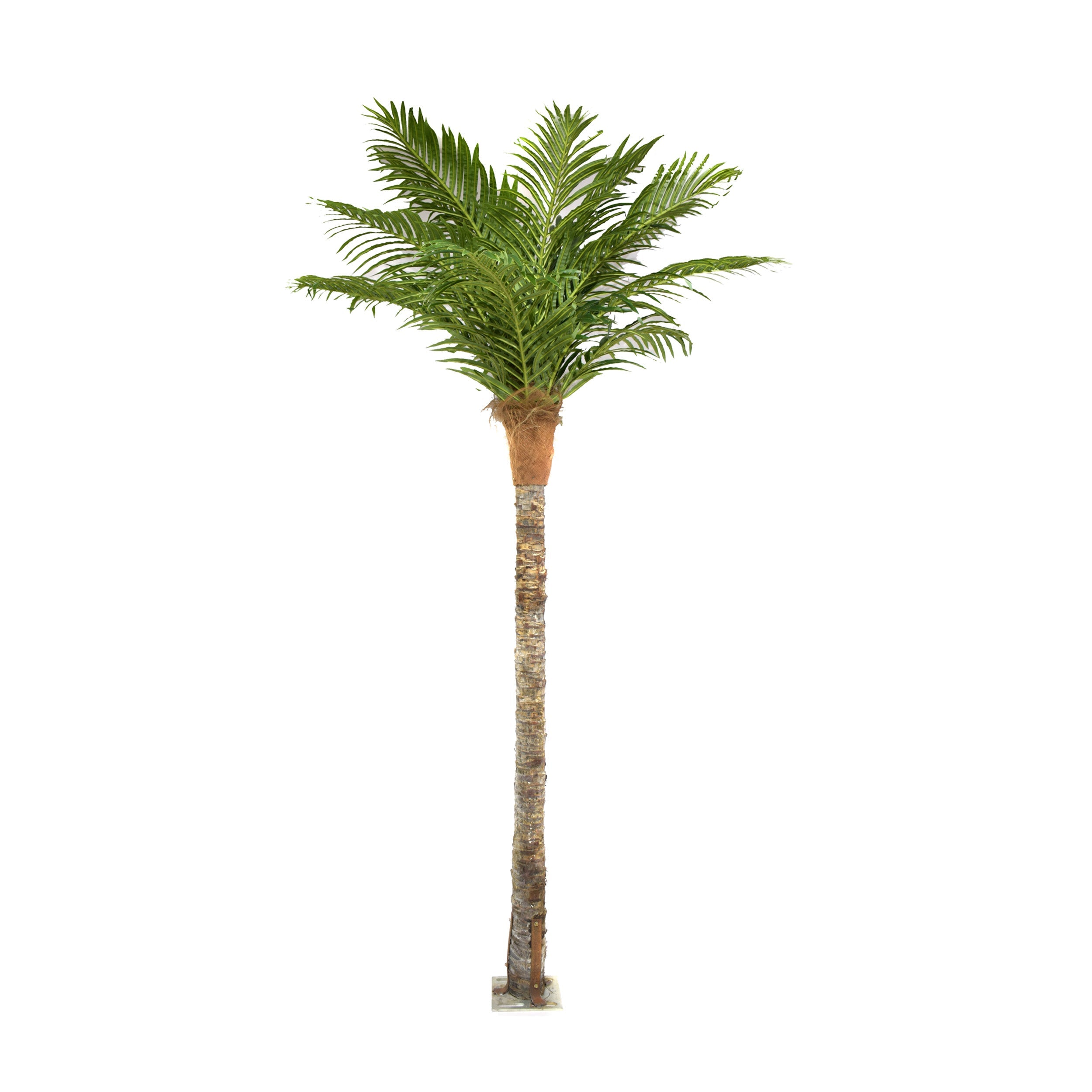 10 Feet Artificial Palm Plants Pack of 1