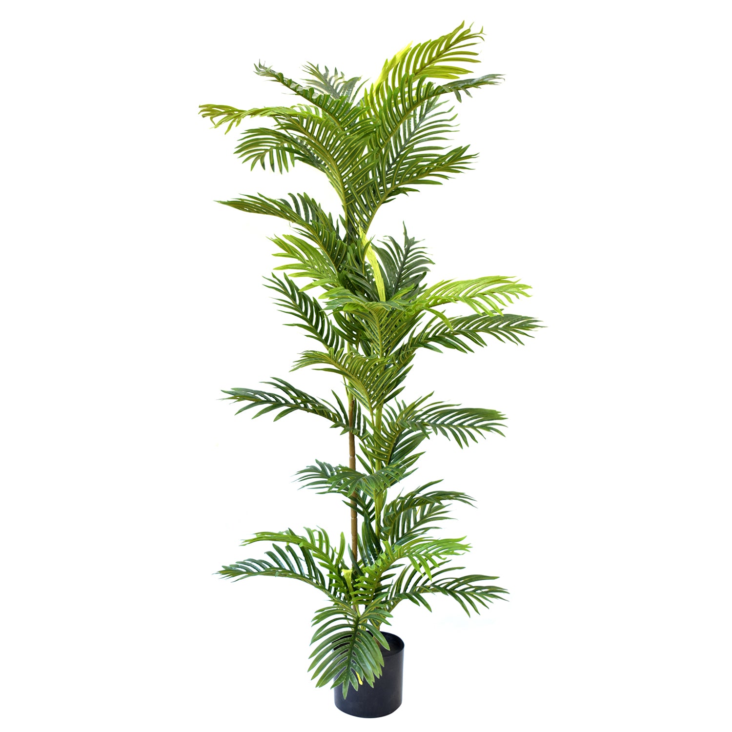 Aavana Greens Decorative Artificial Large Palm Plants Pack Of 1