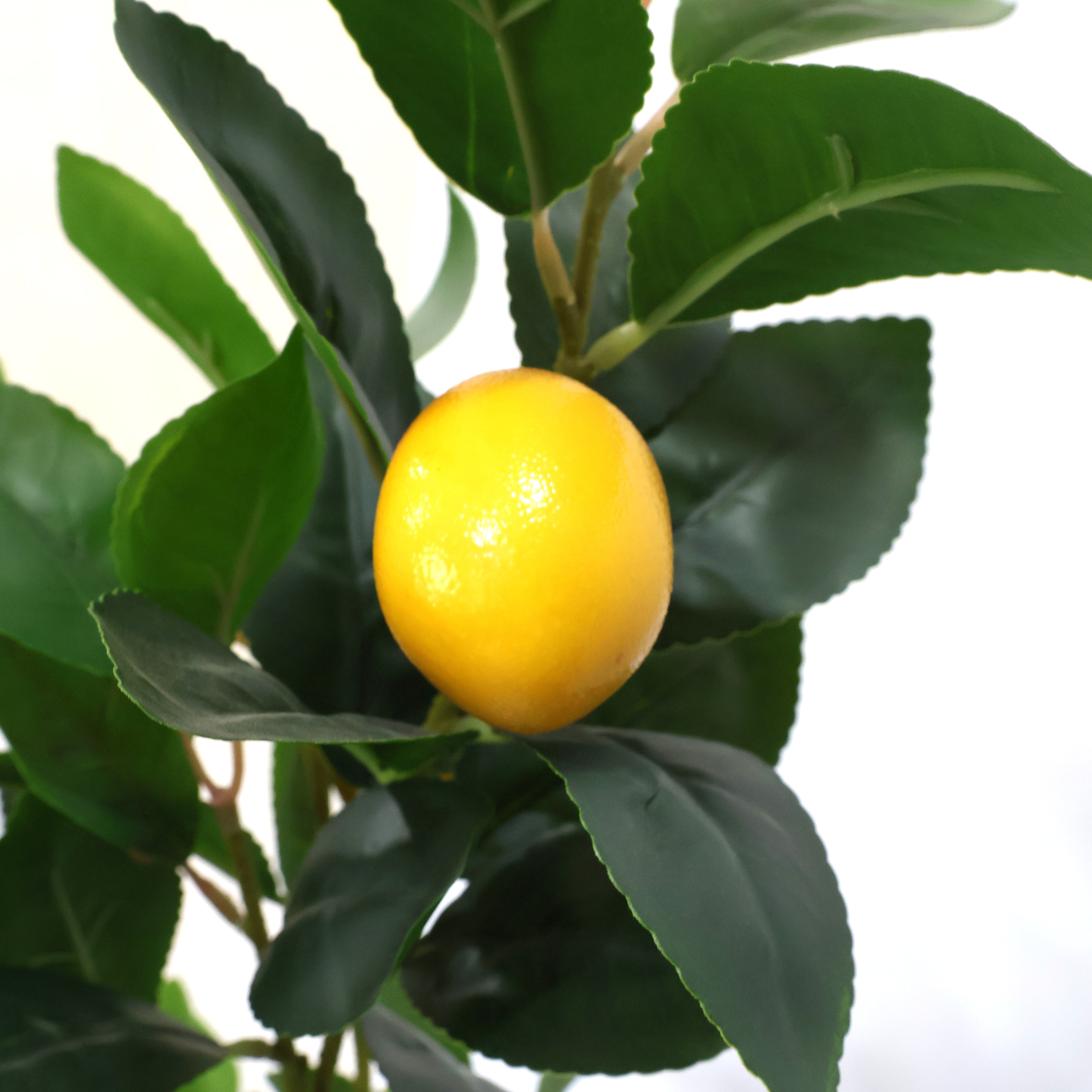 4 Feet (95 CM) Artificial Lemon Plant for Indoor and Outdoor, Home, Shop, Office, Restaurant Decoration Dark Green (Pack of 1)