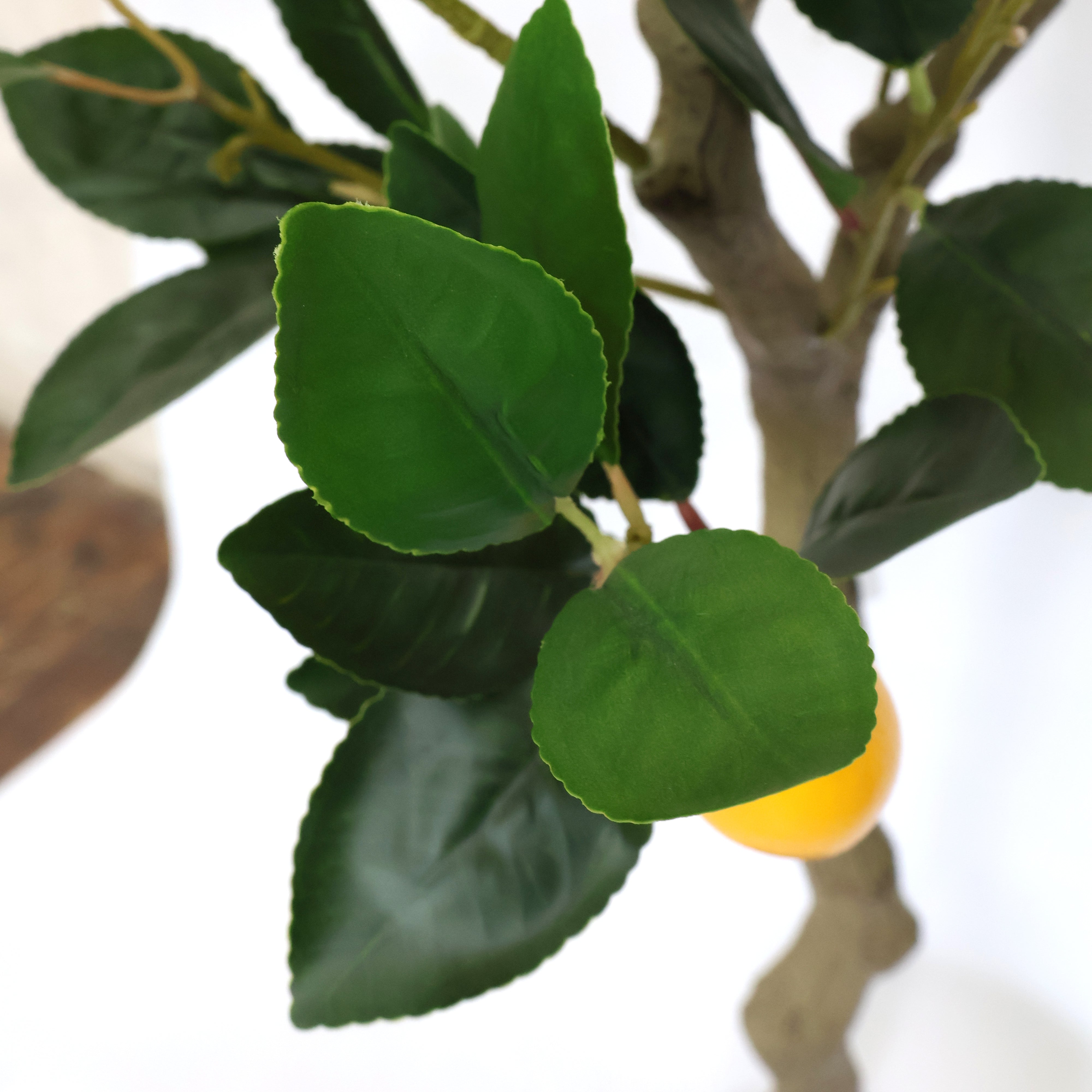 4 Feet (95 CM) Artificial Lemon Plant for Indoor and Outdoor, Home, Shop, Office, Restaurant Decoration Dark Green (Pack of 1)