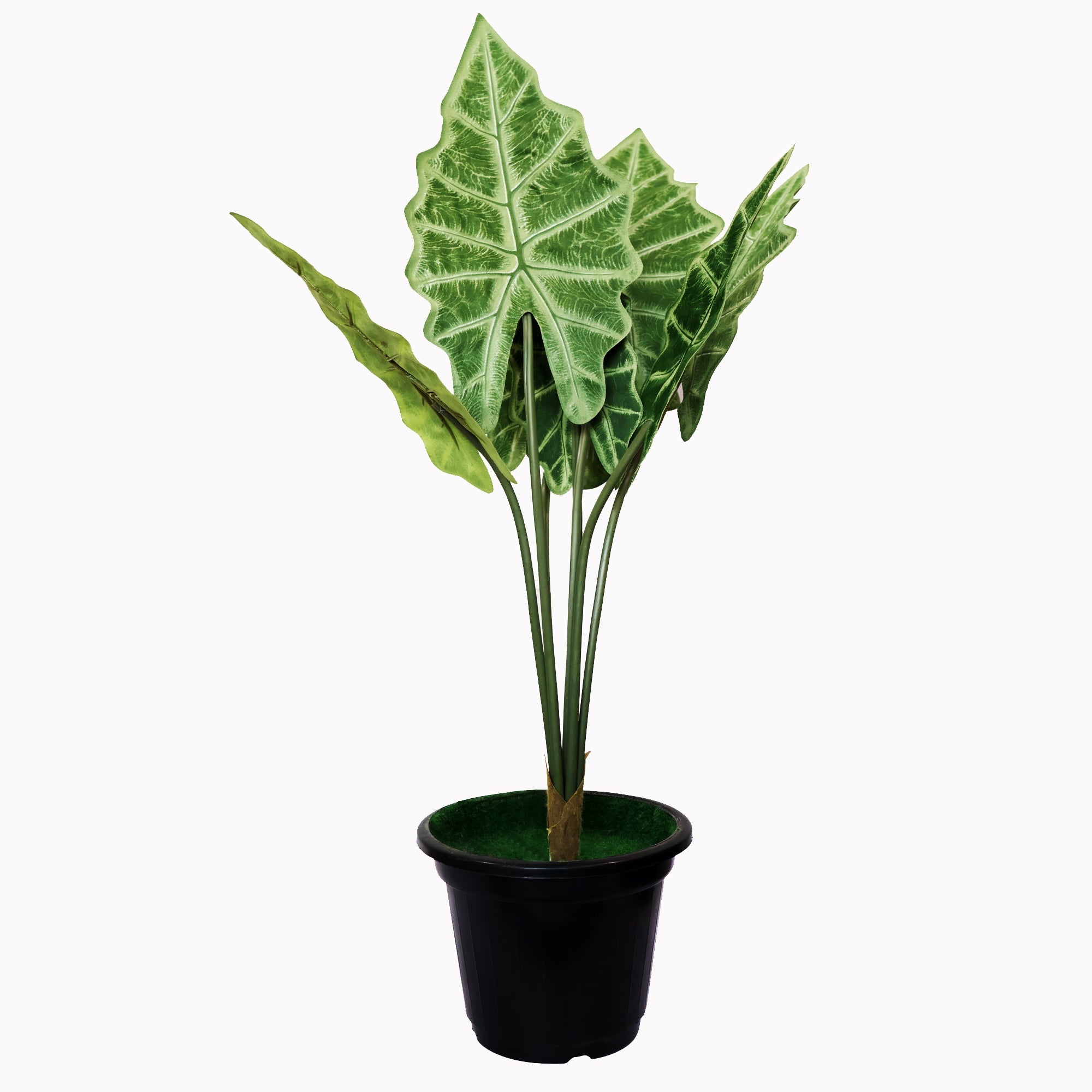 AAVANA GREENS 24" Fake Alocasia Amazonica Tropical Safari Jungle Leaves Artificial Plants for Home & Office Decor Indoor African Mask Plant with Plastic Pot, Black, Medium