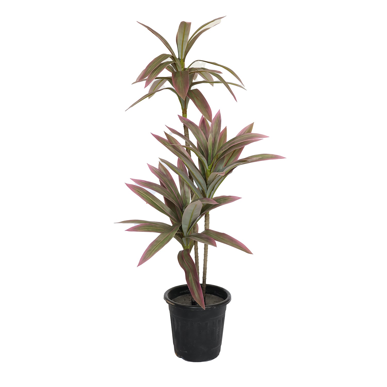 2.5 Feet (75 CM) Artificial Plant for Indoor and Outdoor, Home, Shop, Office, Restaurant Decoration Dark Green (Pack of 1)