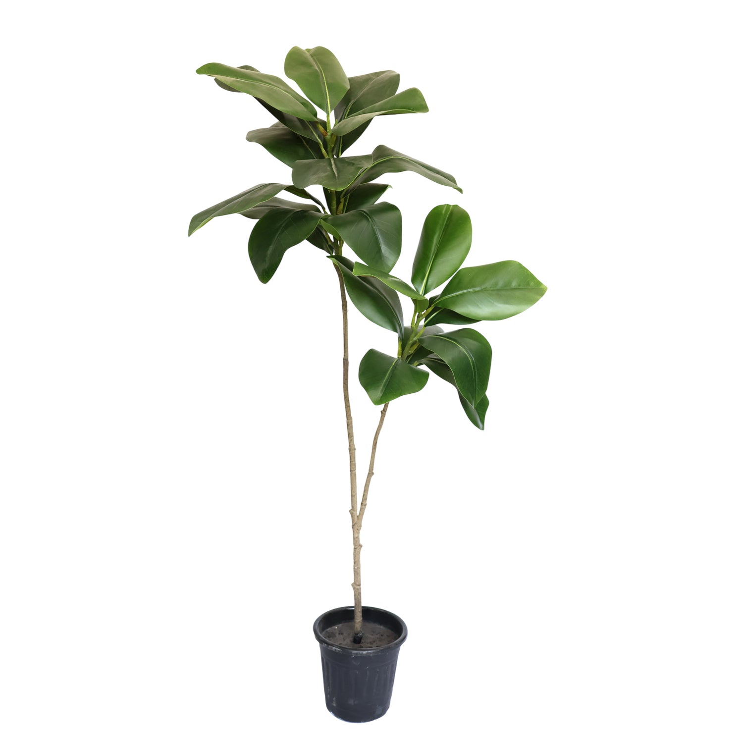 3.7 Feet (111 CM) Artificial Plant for Indoor and Outdoor, Home, Shop, Office, Restaurant Decoration Dark Green (Pack of 1)