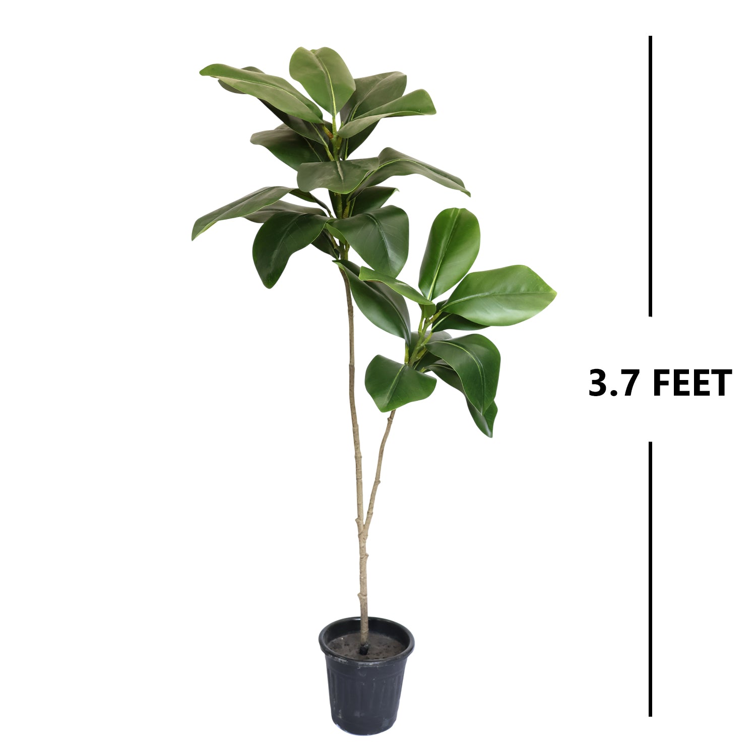 3.7 Feet (111 CM) Artificial Plant for Indoor and Outdoor, Home, Shop, Office, Restaurant Decoration Dark Green (Pack of 1)