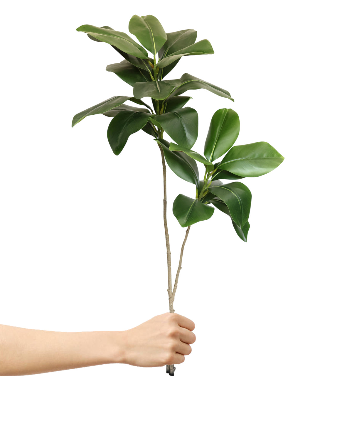 3.7 Feet (111 CM) Artificial Plant for Indoor and Outdoor, Home, Shop, Office, Restaurant Decoration Dark Green (Pack of 1)