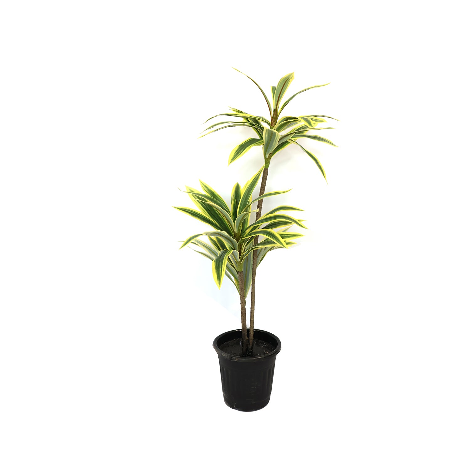 2.5 Feet (75 CM) Artificial Plant for Indoor and Outdoor, Home, Shop, Office, Restaurant Decoration Dark Green (Pack of 1)