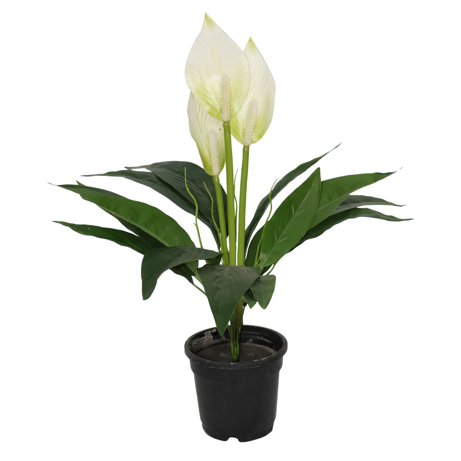 1.5 Feet (45 CM) Artificial Plant for Indoor and Outdoor, Home, Shop, Office, Restaurant Decoration Dark Green (Pack of 1)